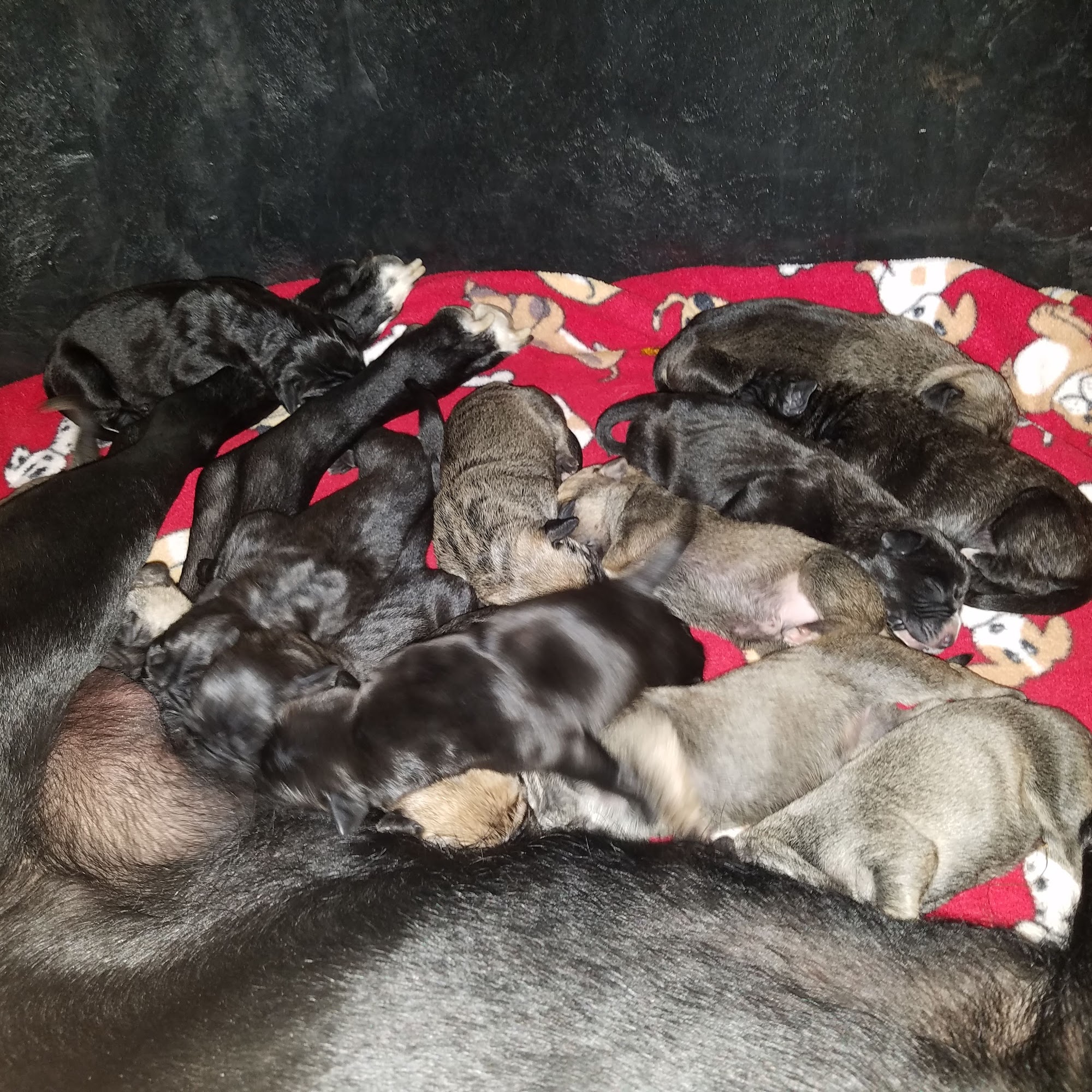 Dr. Andy Baker Bangor