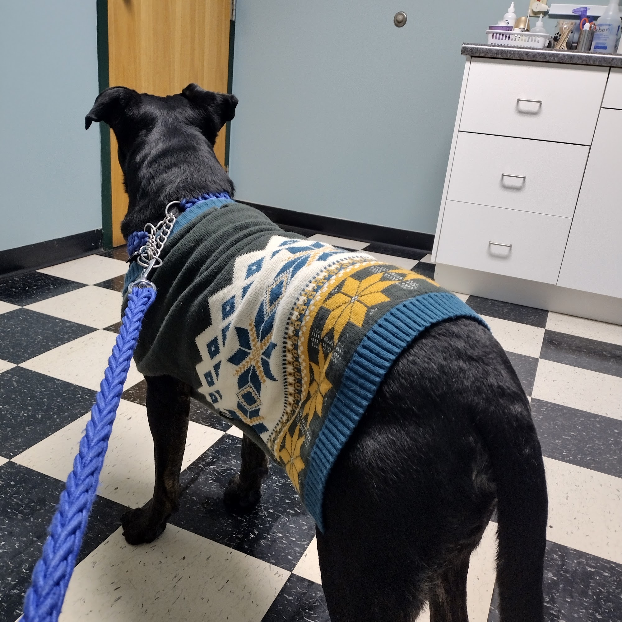 Southside Veterinary Clinic with Bed & Biscuit Boarding Battle Creek