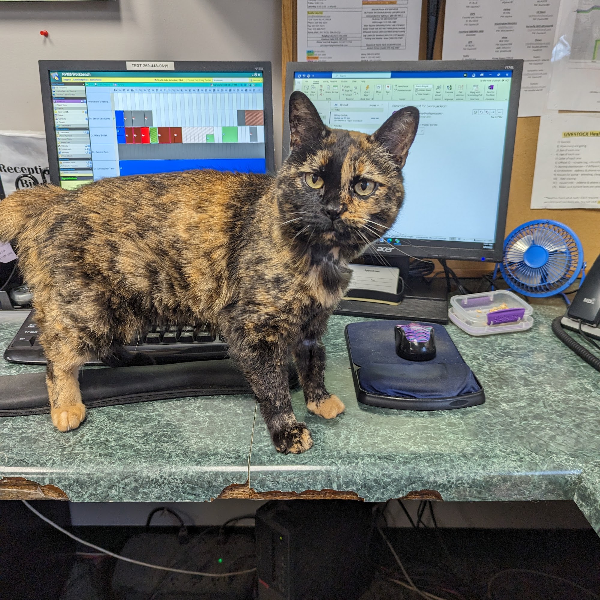 Beadle Lake Veterinary Clinic Battle Creek