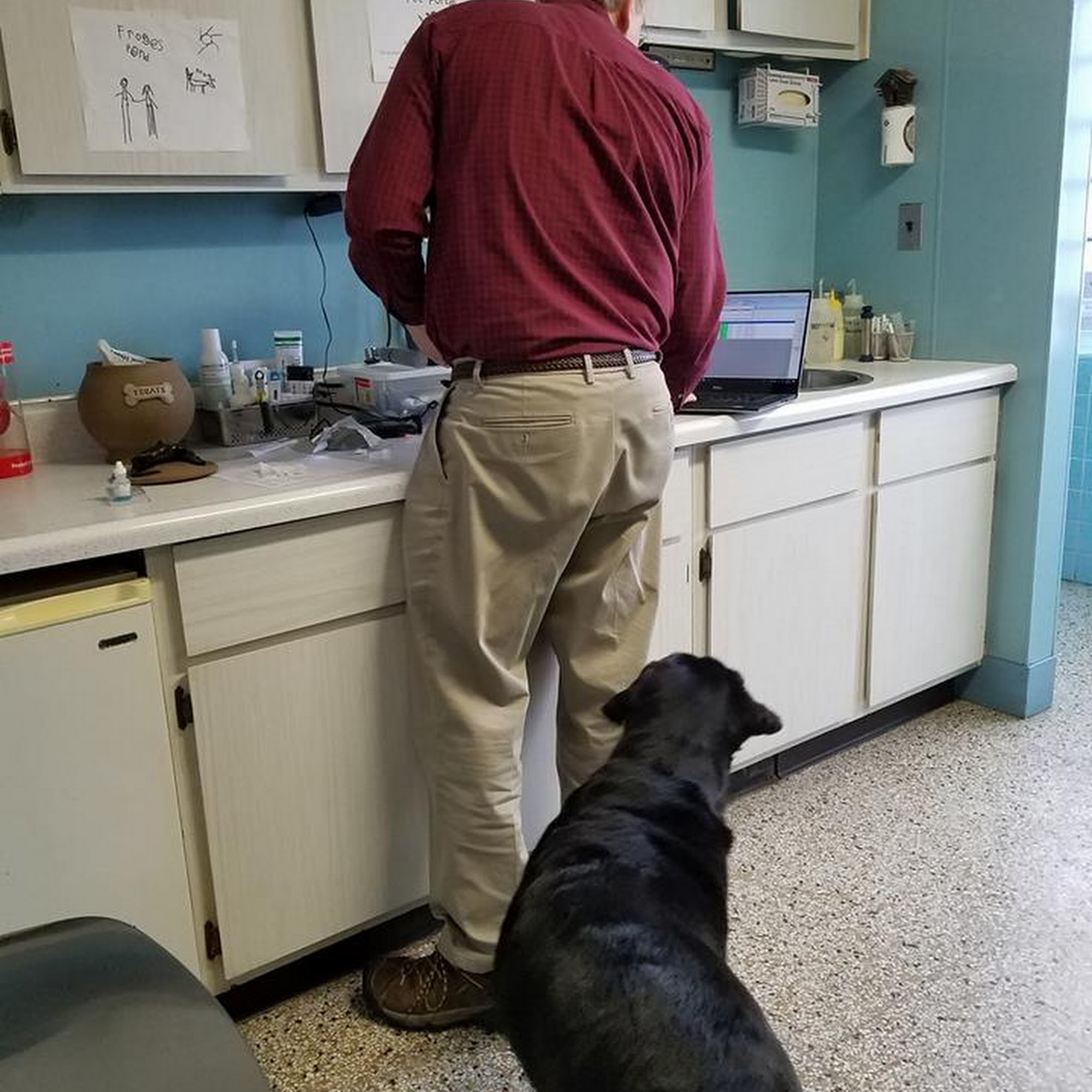 Turner Veterinary Clinic Battle Creek