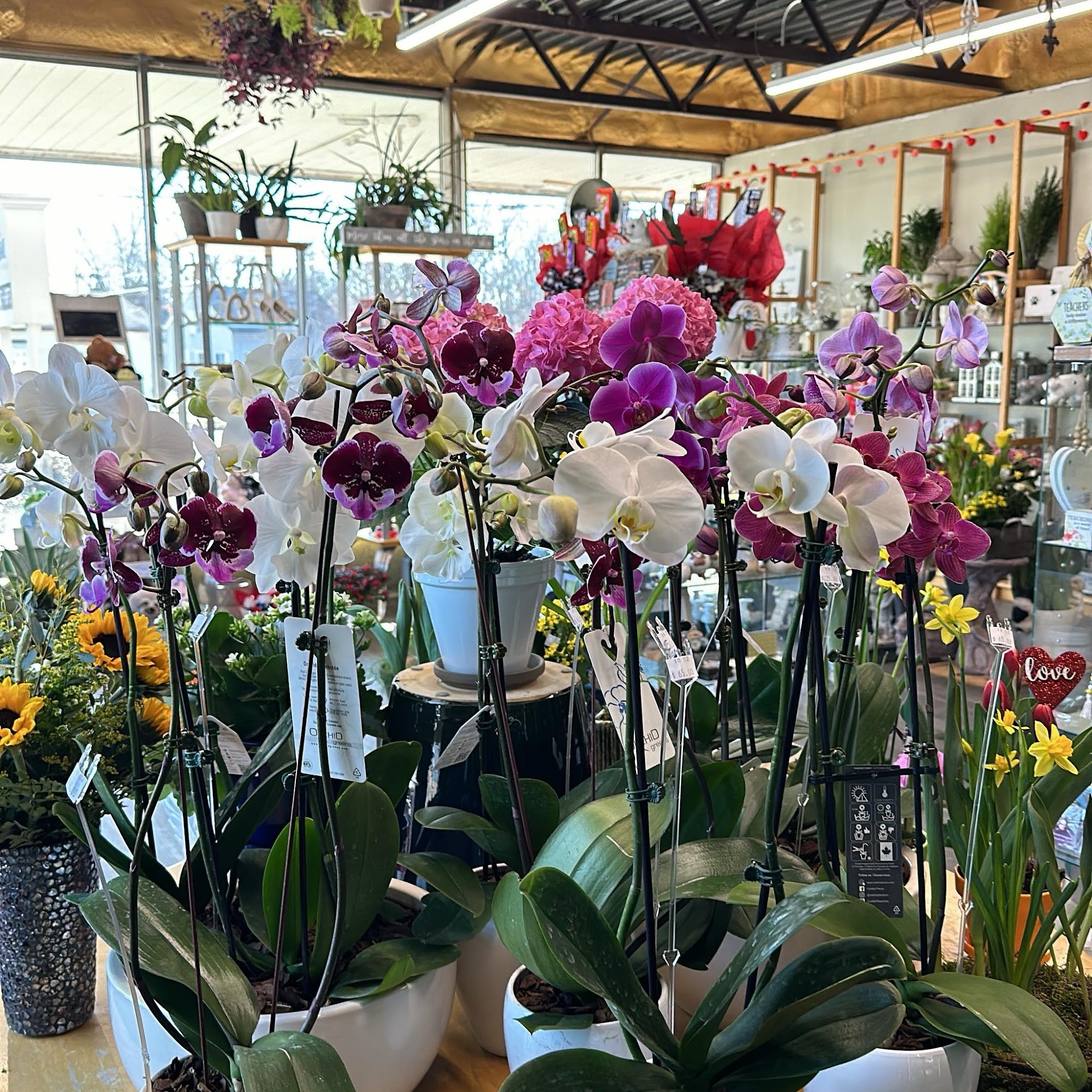 Plumeria Botanical Boutique 1364 W Michigan Ave, Battle Creek, MI 49037