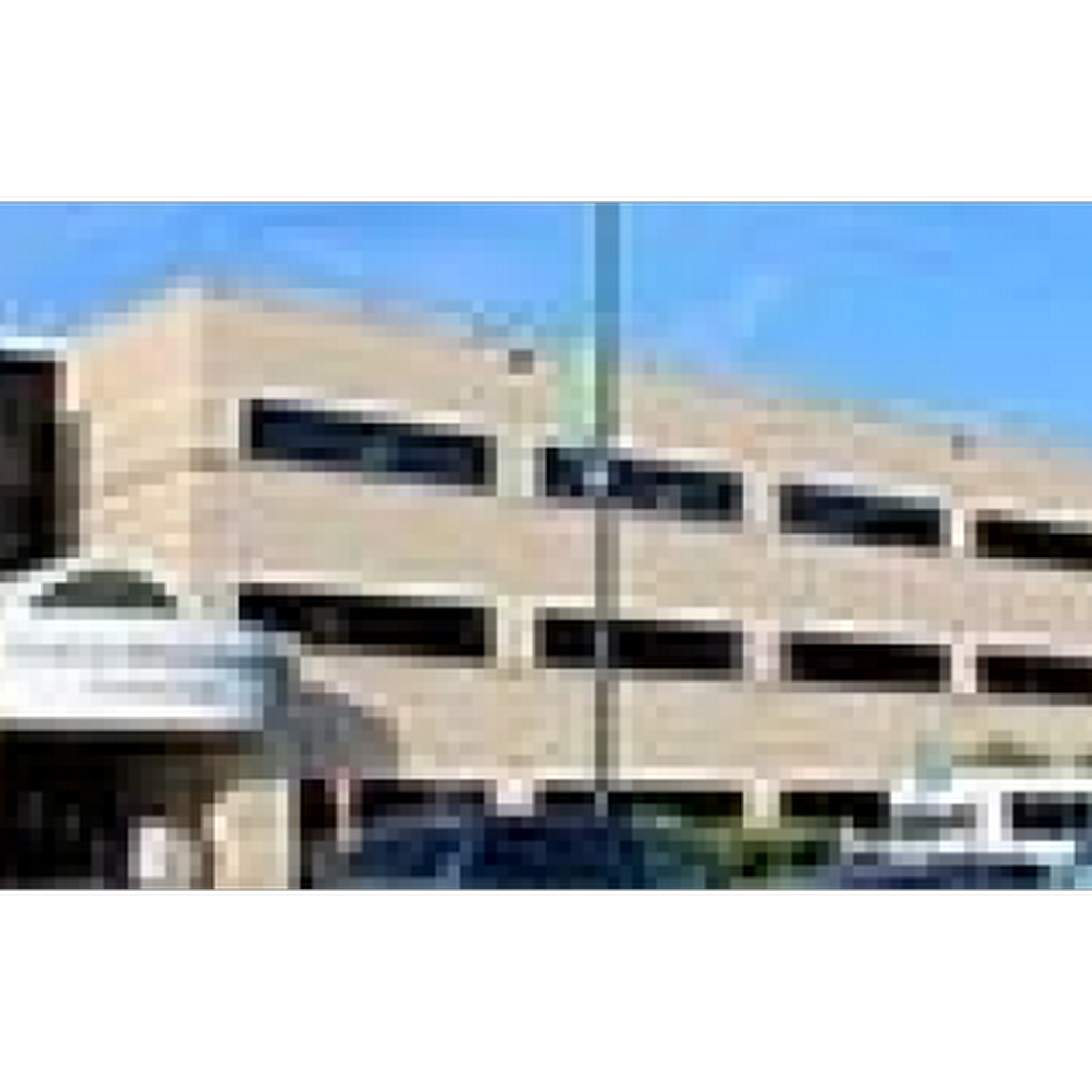 Bronson Vascular & Endovascular Surgery Specialists - Battle Creek