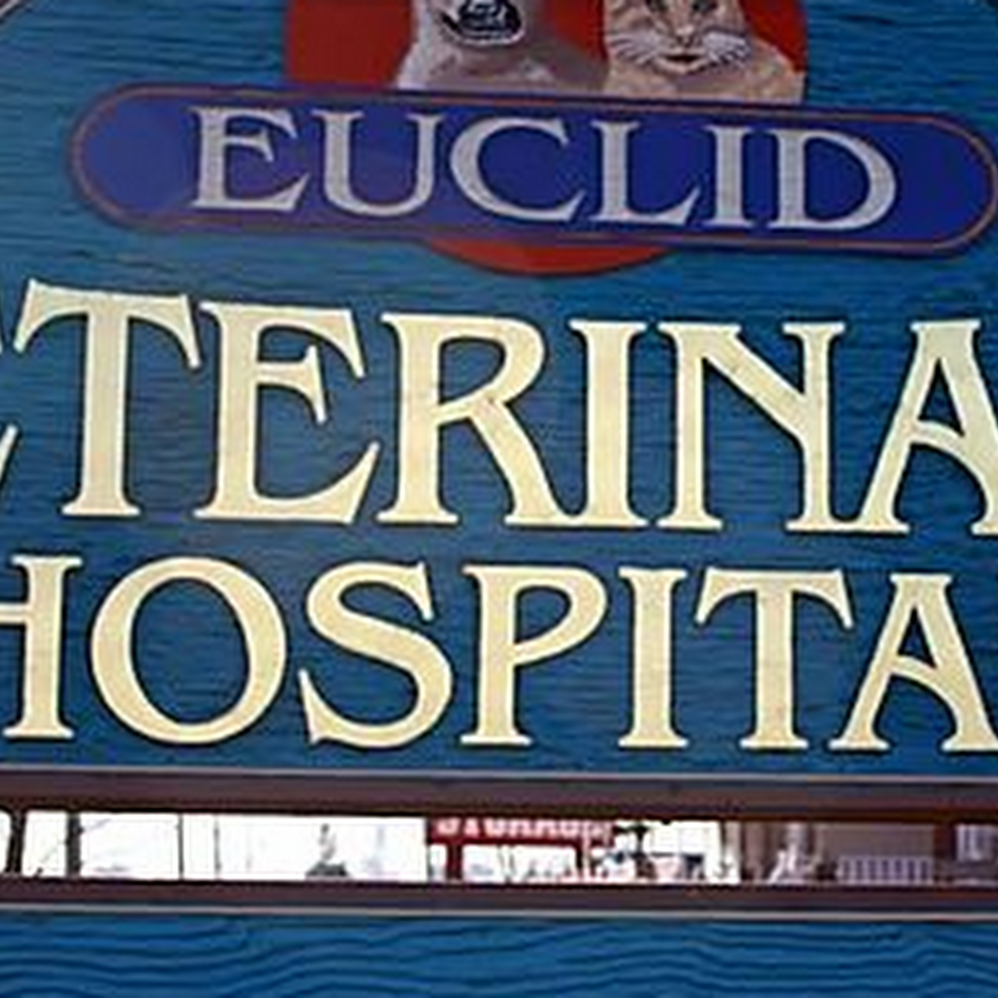 Euclid Veterinary Hospital Bay City