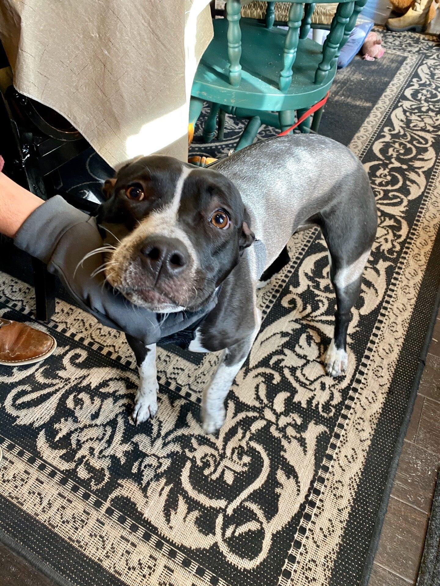 Photo credit: nextdoor