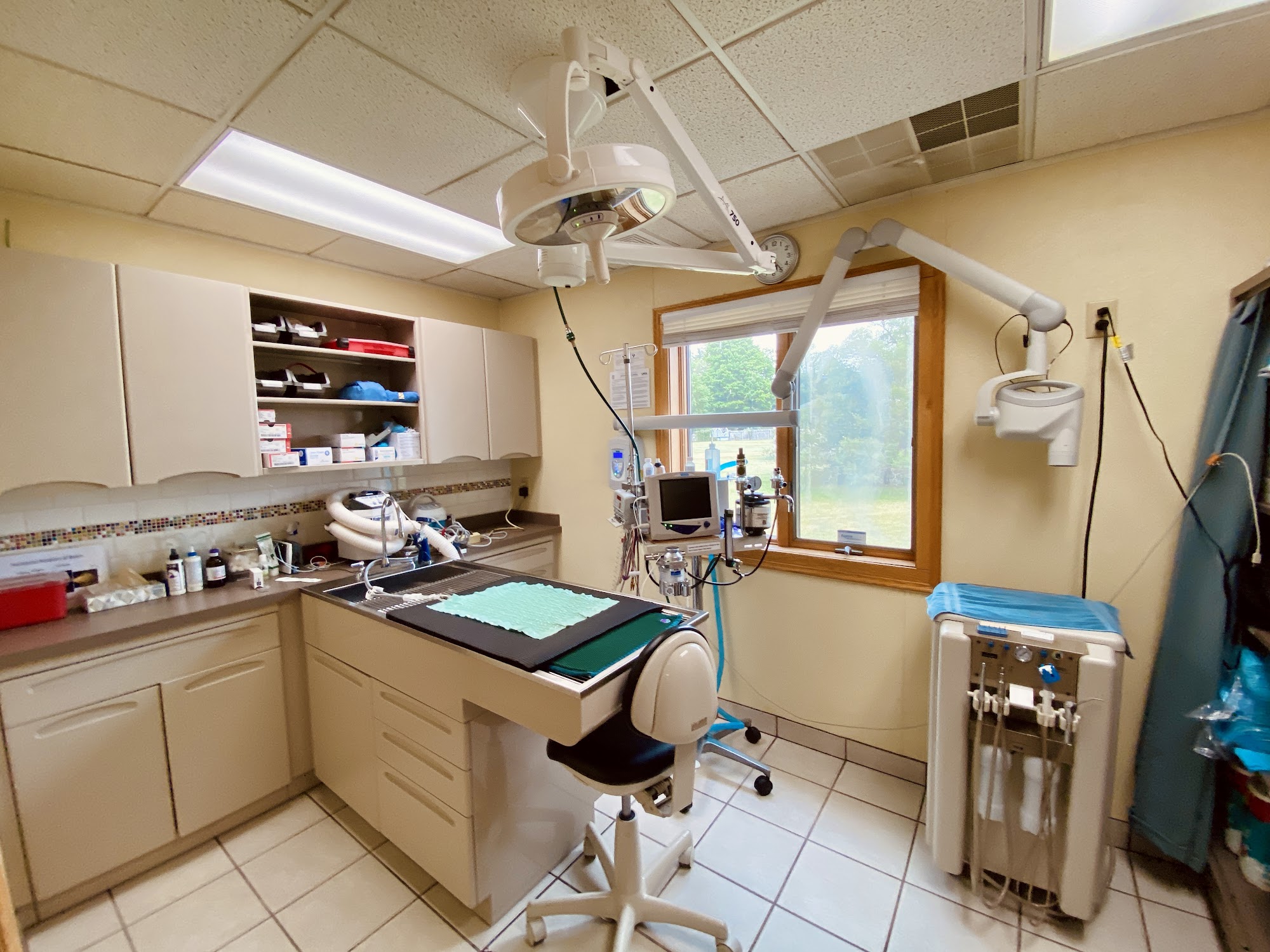 Nickerson Animal Health Center Benton Harbor