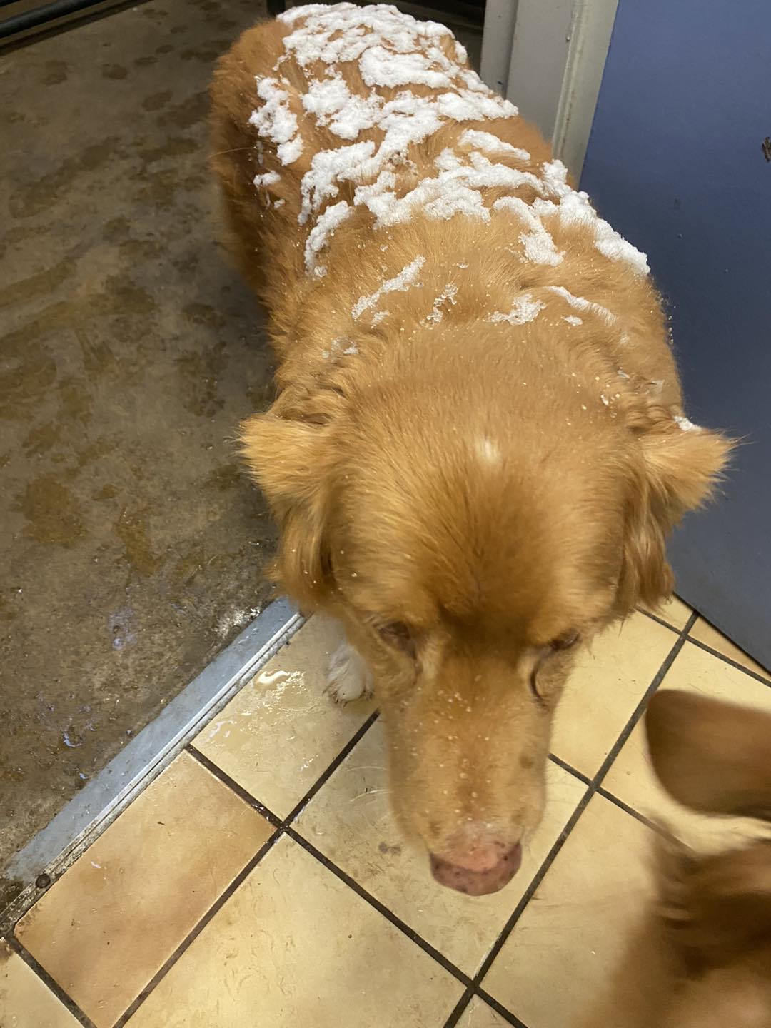 The Crate Escape Benton Harbor