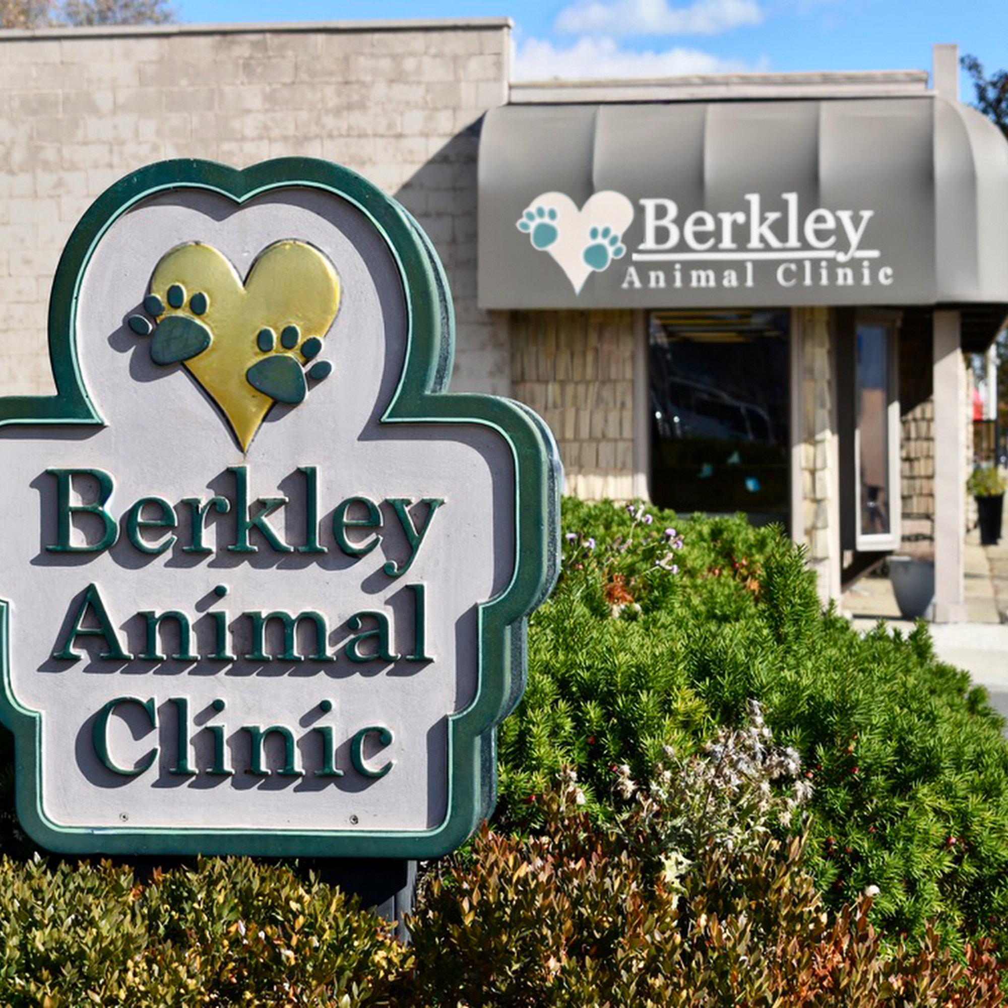 Berkley Animal Hospital Berkley