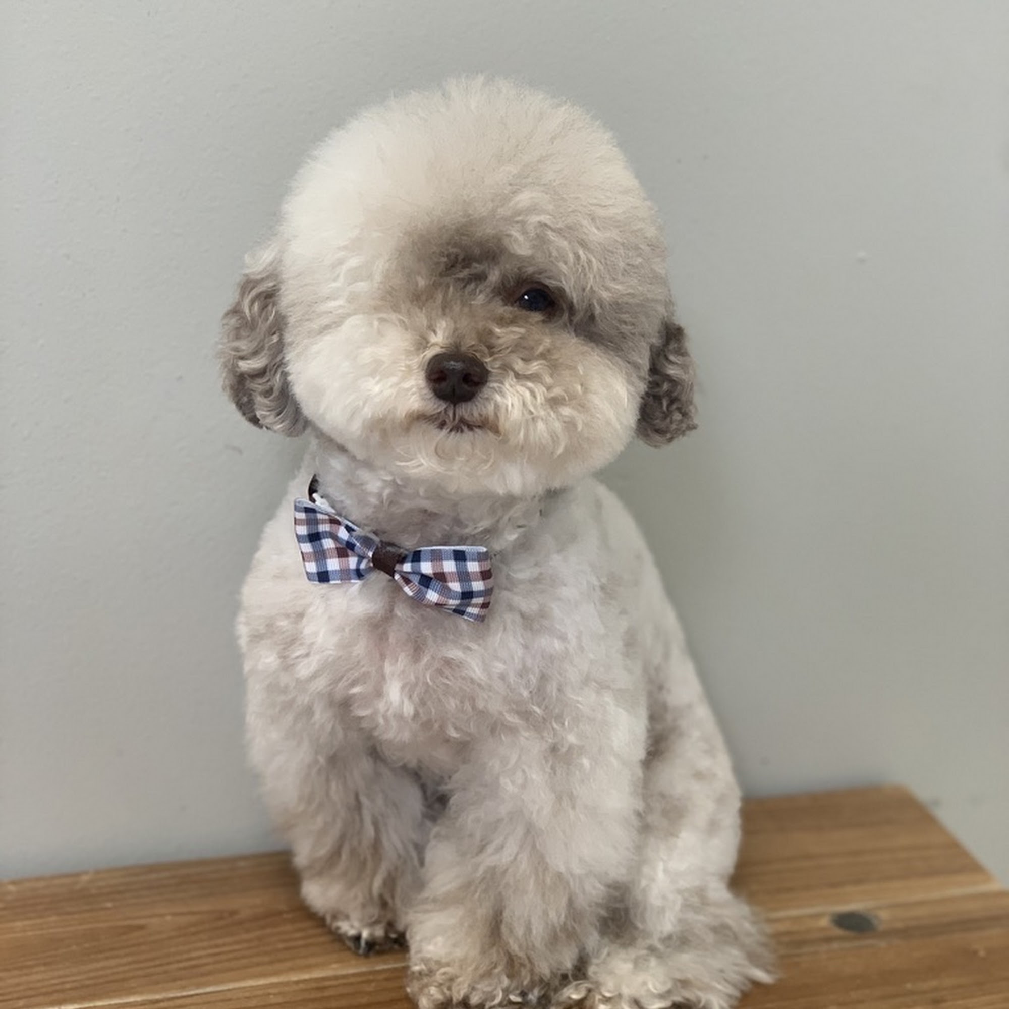 Grooming with Love Berkley