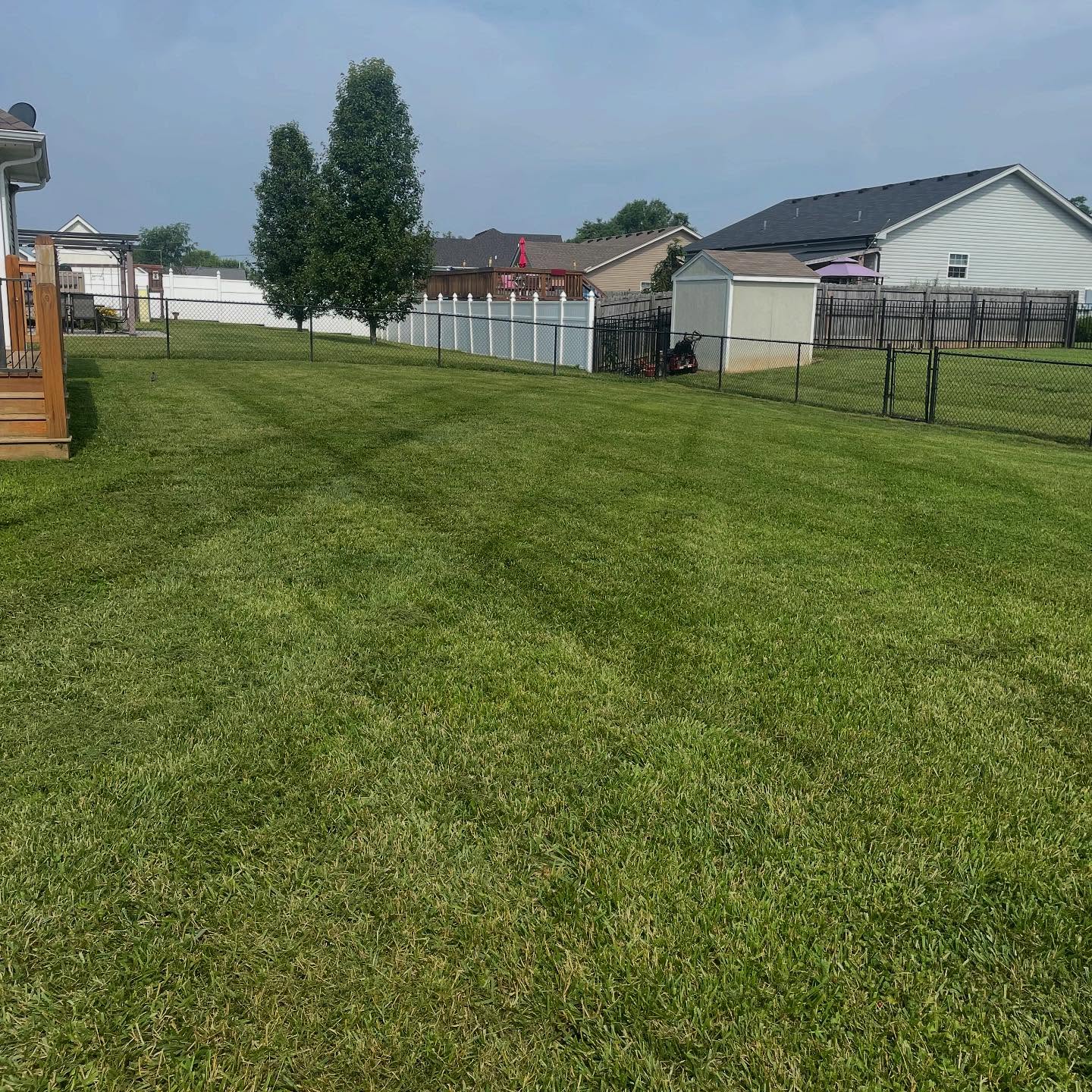 Andy's Lawn Services Llc