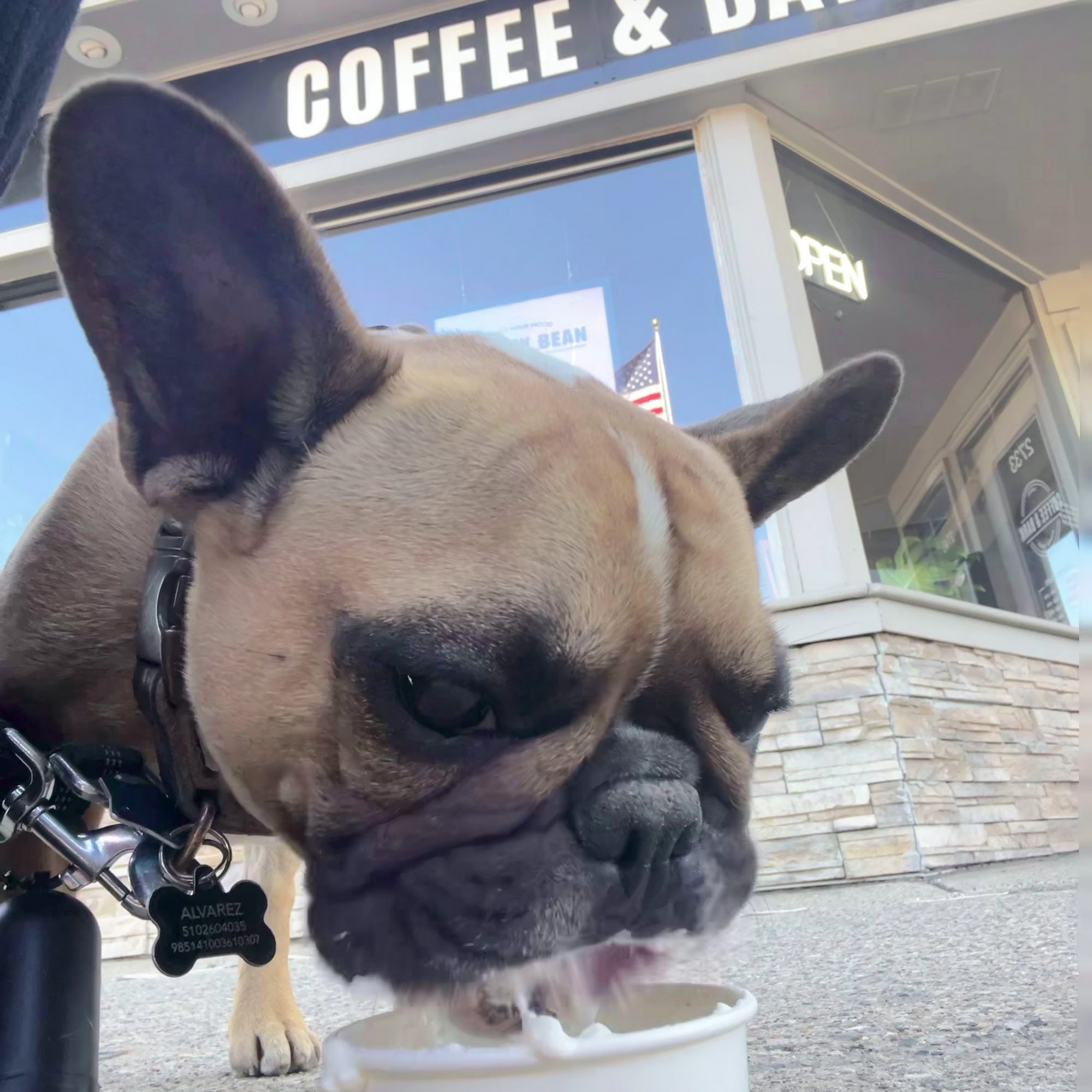 Coffee & Bark Berkley