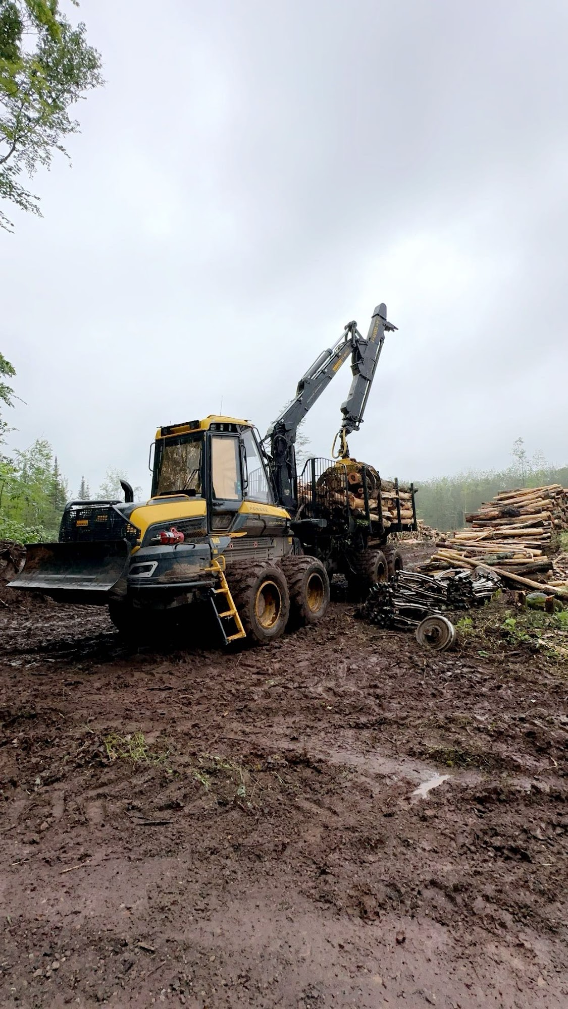 Corullo Forest Products Corporation Bessemer