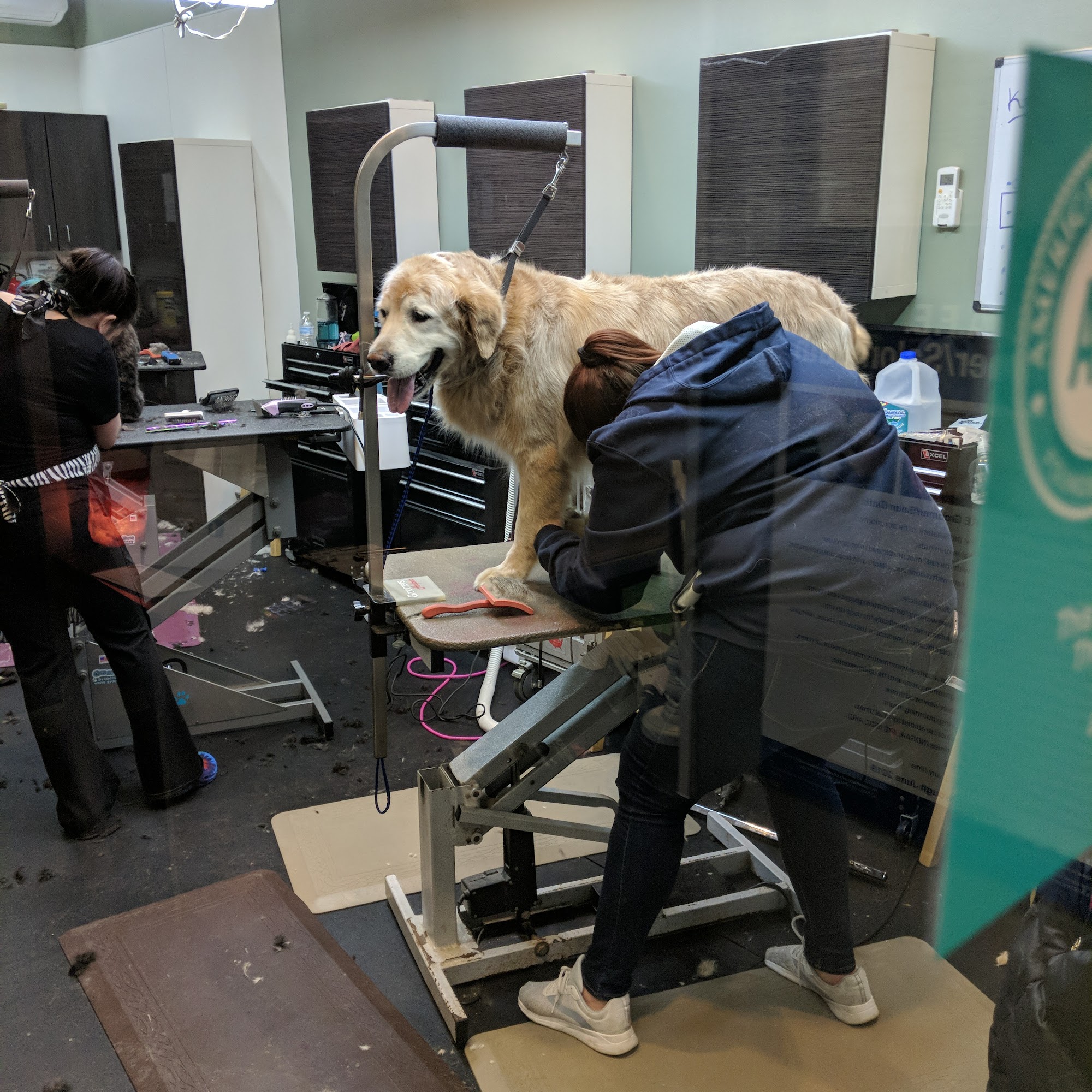 Canine Couture Pet Grooming Beverly Hills