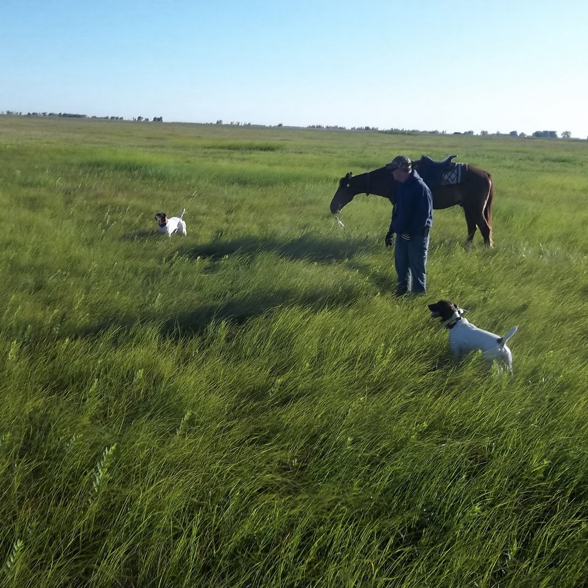 Monkeyshine Kennels Big Rapids
