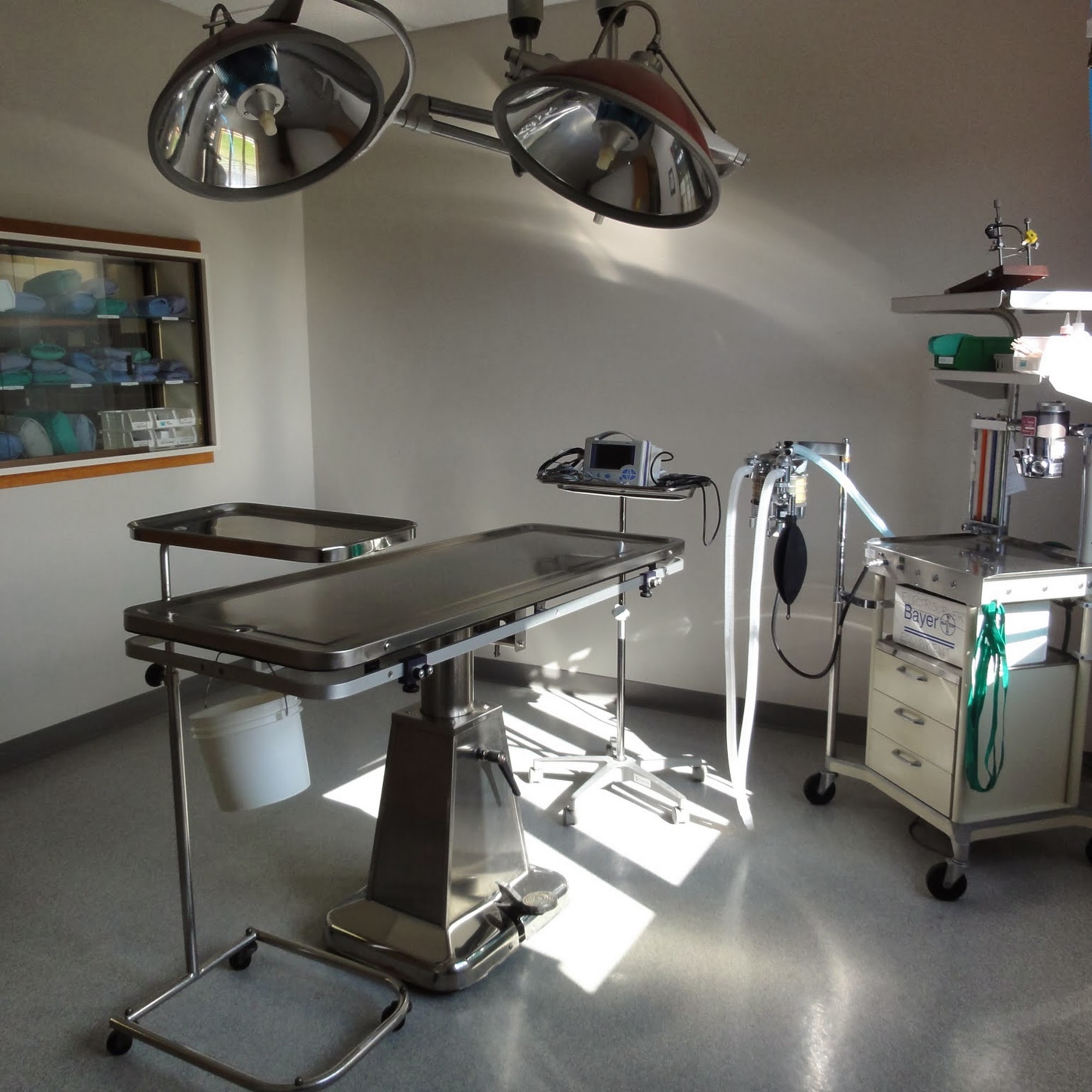 Frankenmuth - Birch Run Veterinary Hospital Birch Run