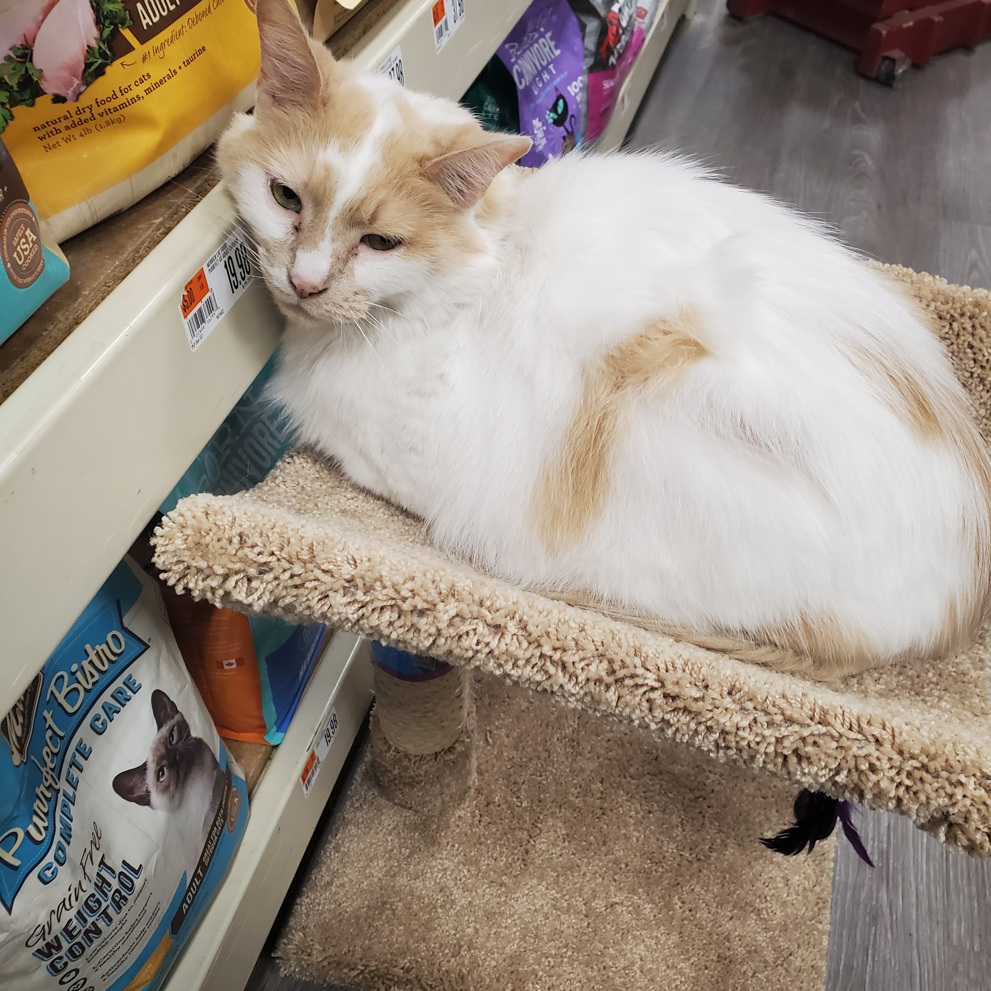 Pet Supplies Plus Bloomfield Hills Bloomfield Hills