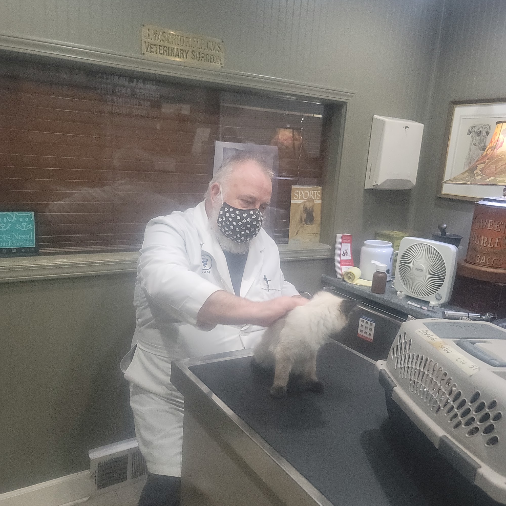 Bloomfield Animal Hospital Bloomfield