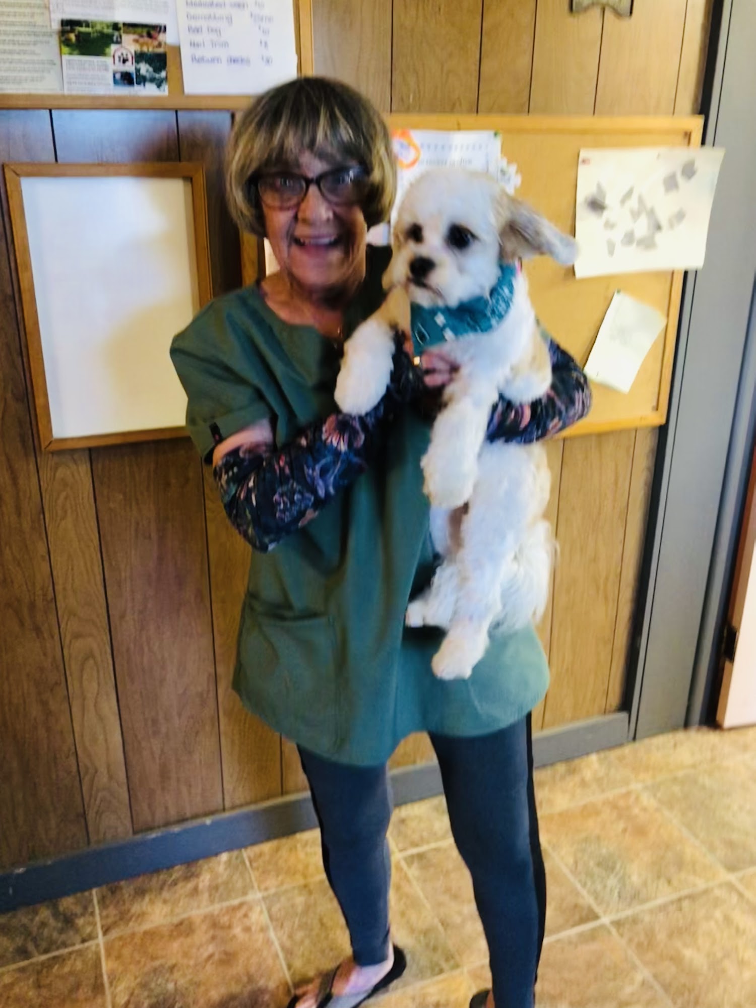 Enviropet Boyne City