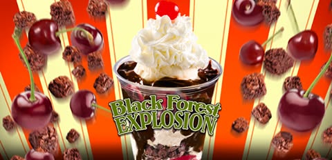 Ritters Frozen Custard Brighton Brighton