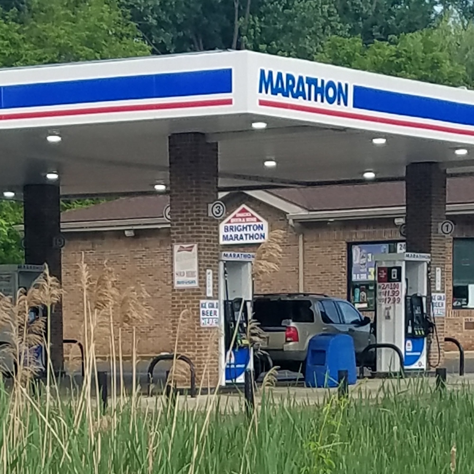 bp