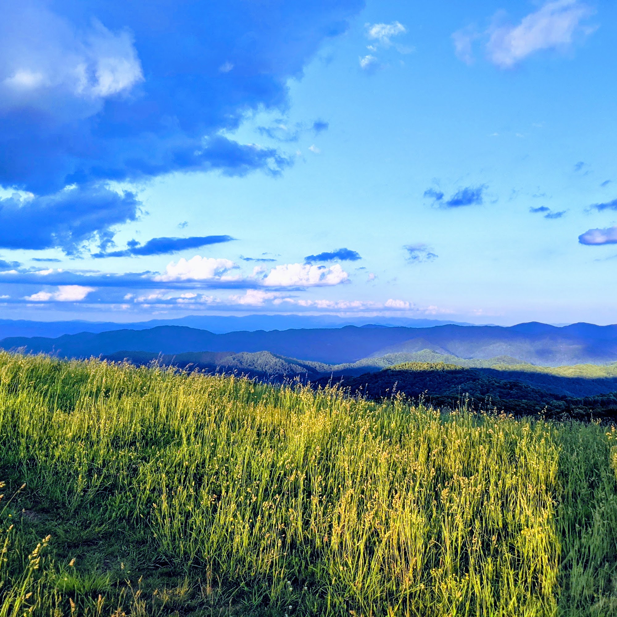 The Landscape Artisan