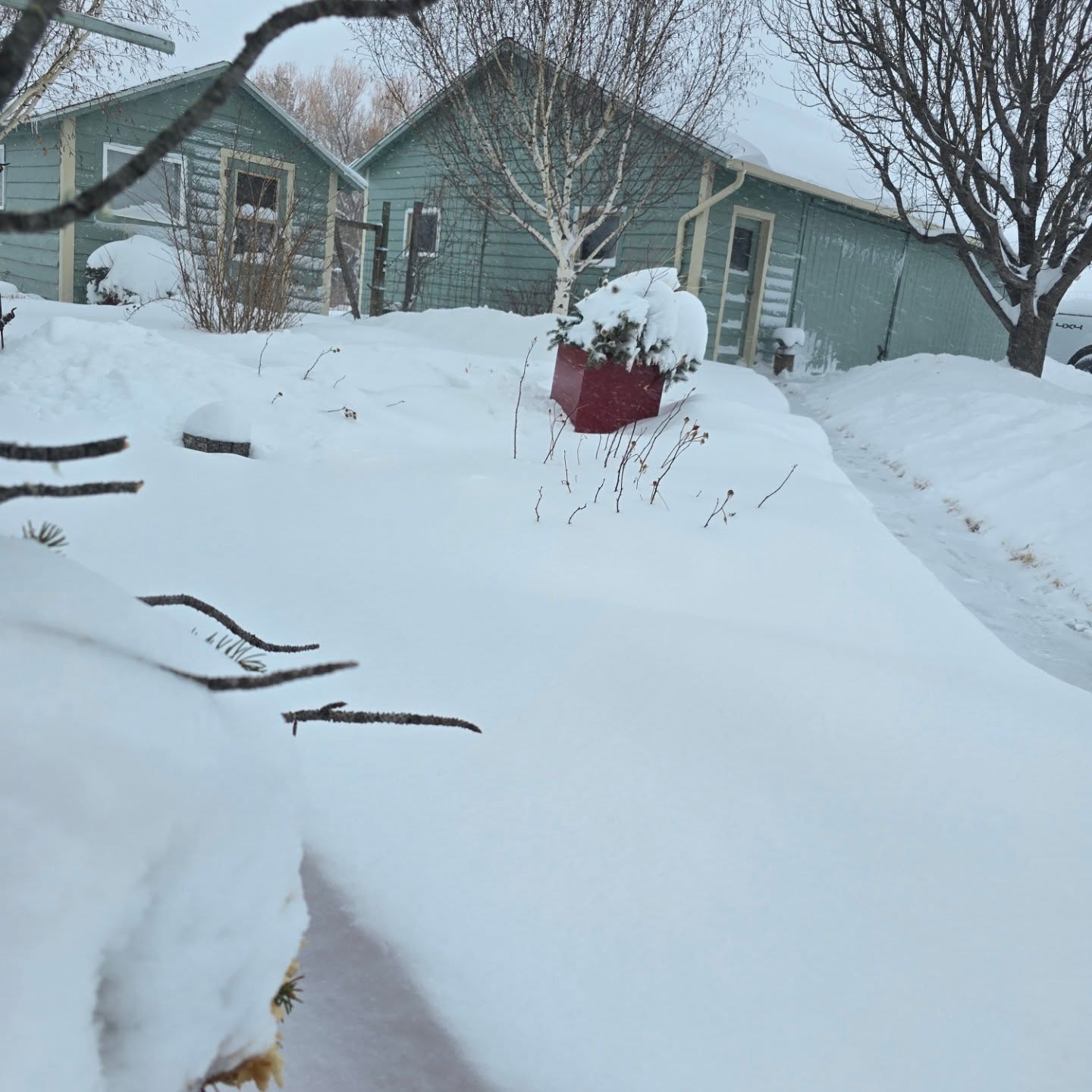 D & N Landscape Maintenance