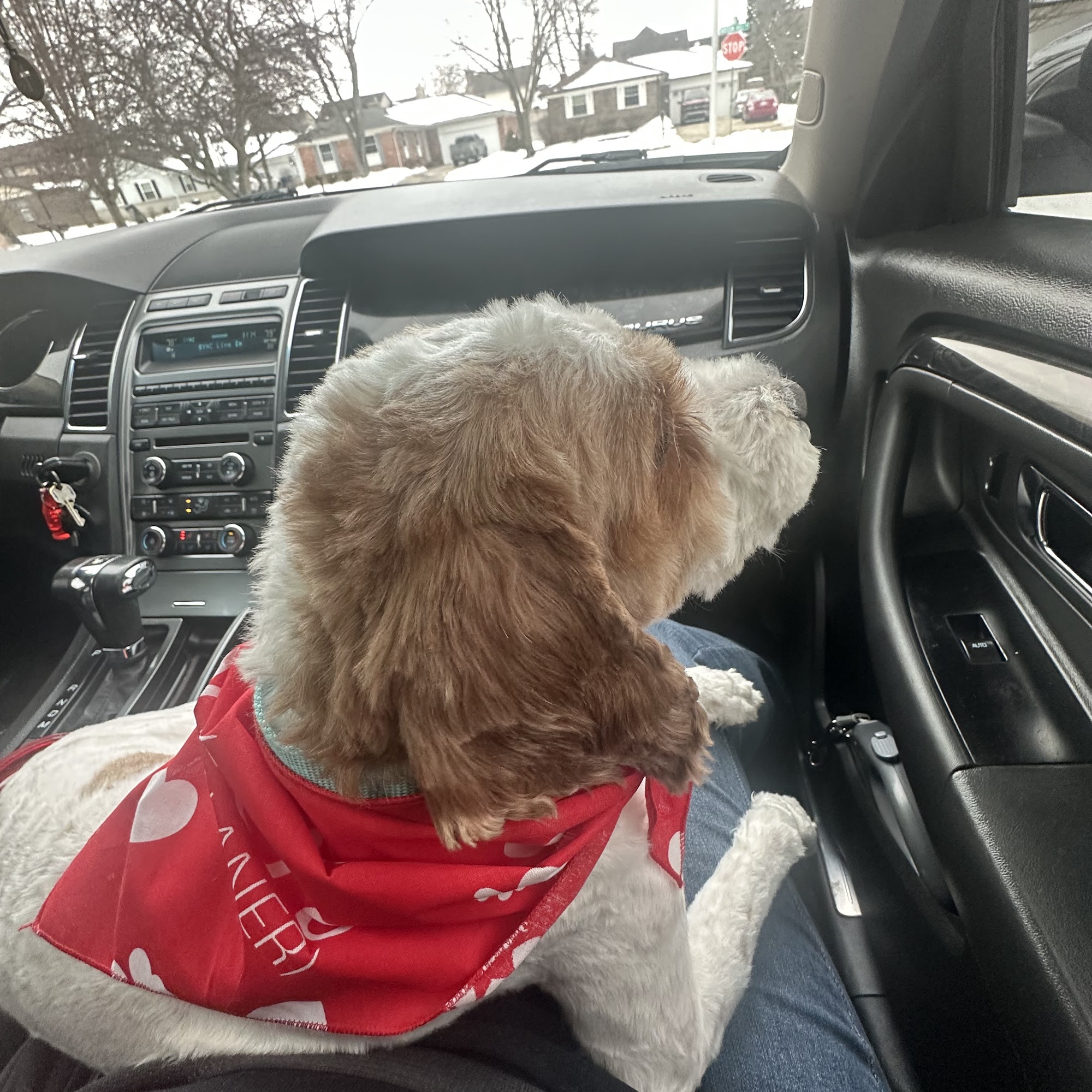 Canton Center Animal Hospital Canton