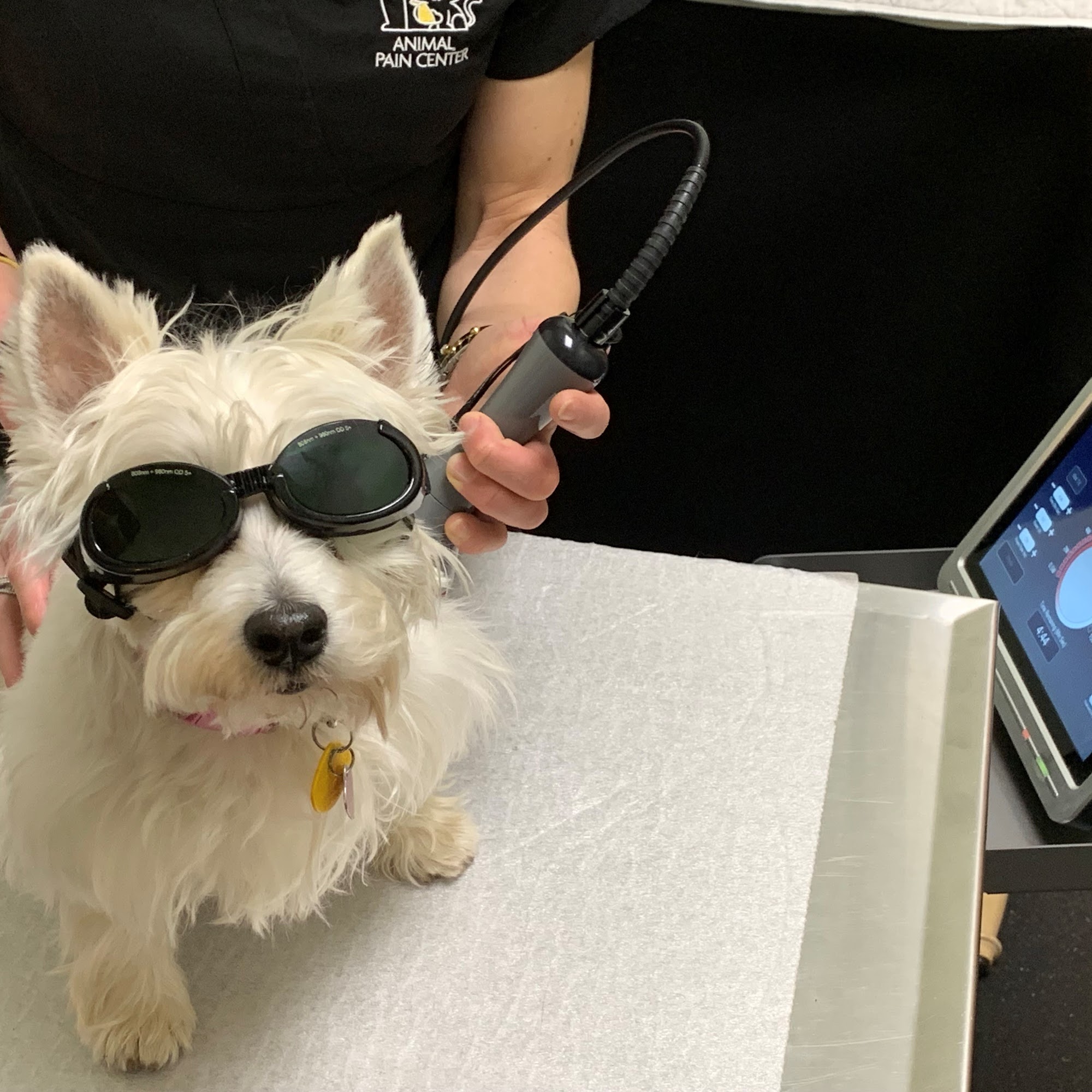 Arbor Pointe Veterinary Hospital Canton