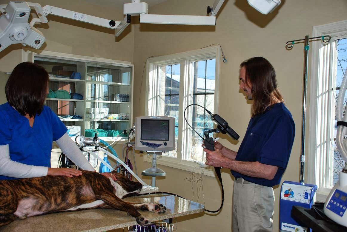 Advanced Veterinary Care Group Canton