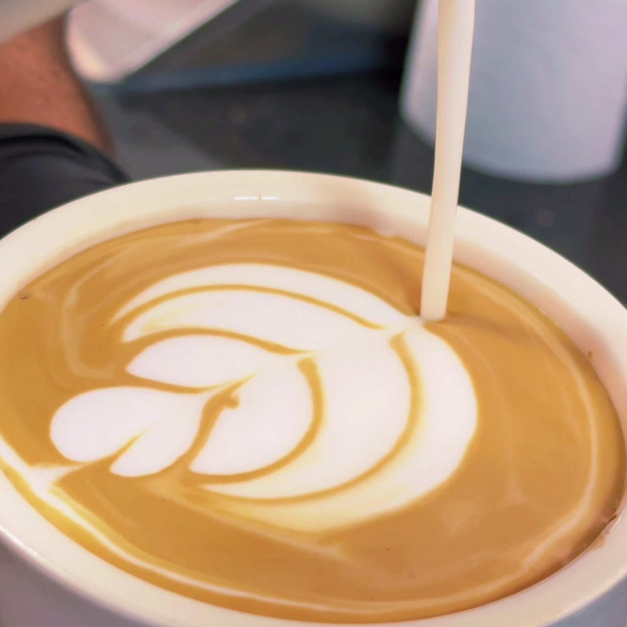 KOKABON COFFEE Canton