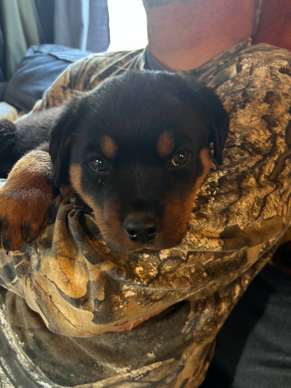 Ron's Refrigeration Sales-Services 1057 E Dayton Rd, Caro Michigan 48723