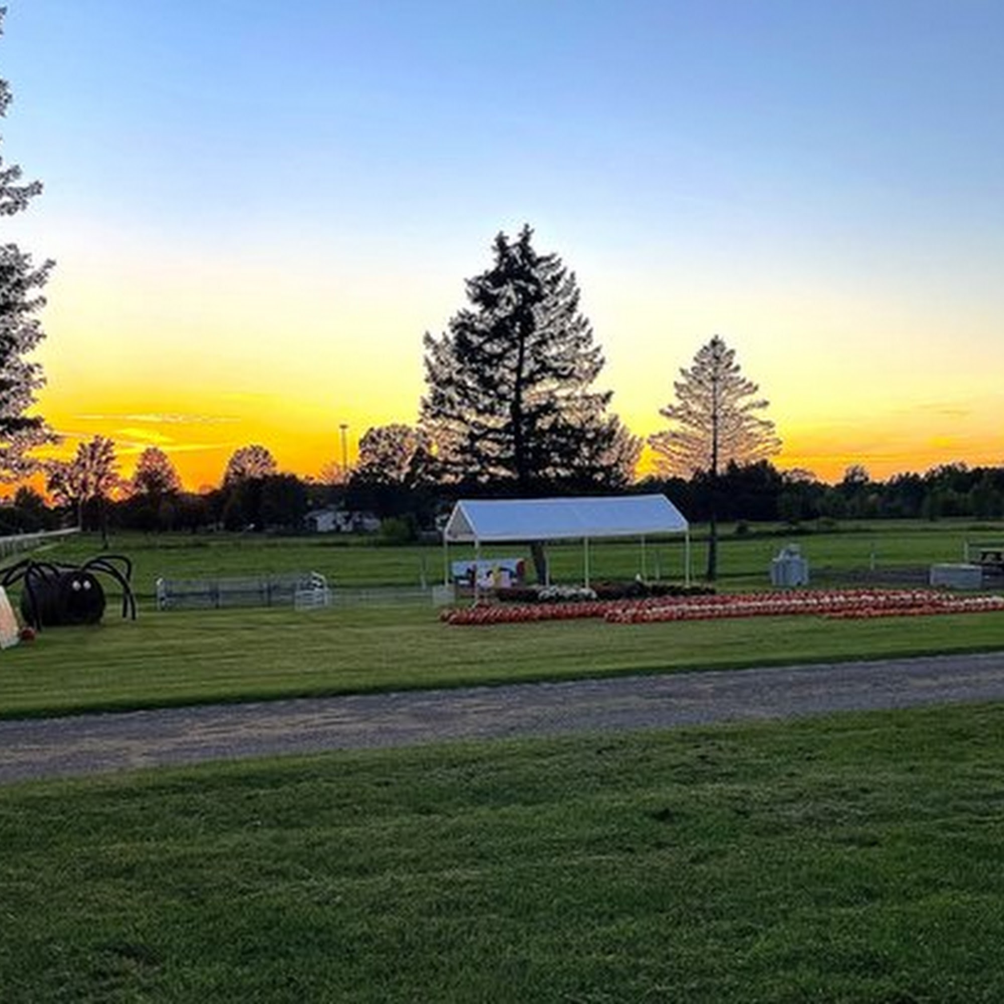 Thueme Farms LLC 8081, 7758 Meisner Rd, Casco