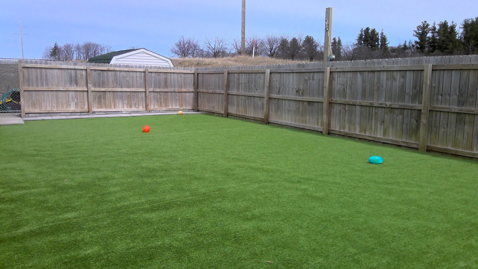 Wiggle Butts & Waggin Tails Cedar