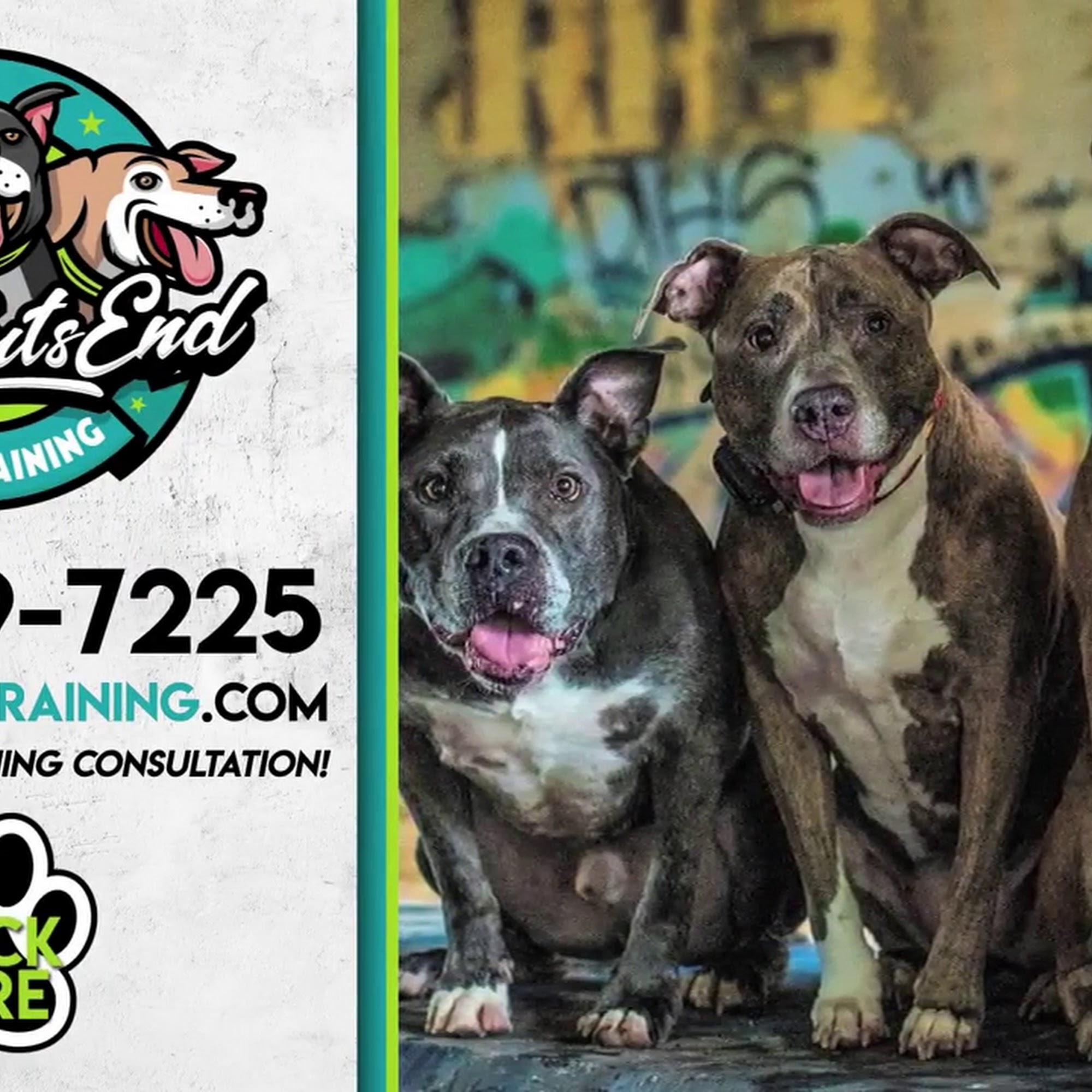 At Whits End Dog Training Center Line