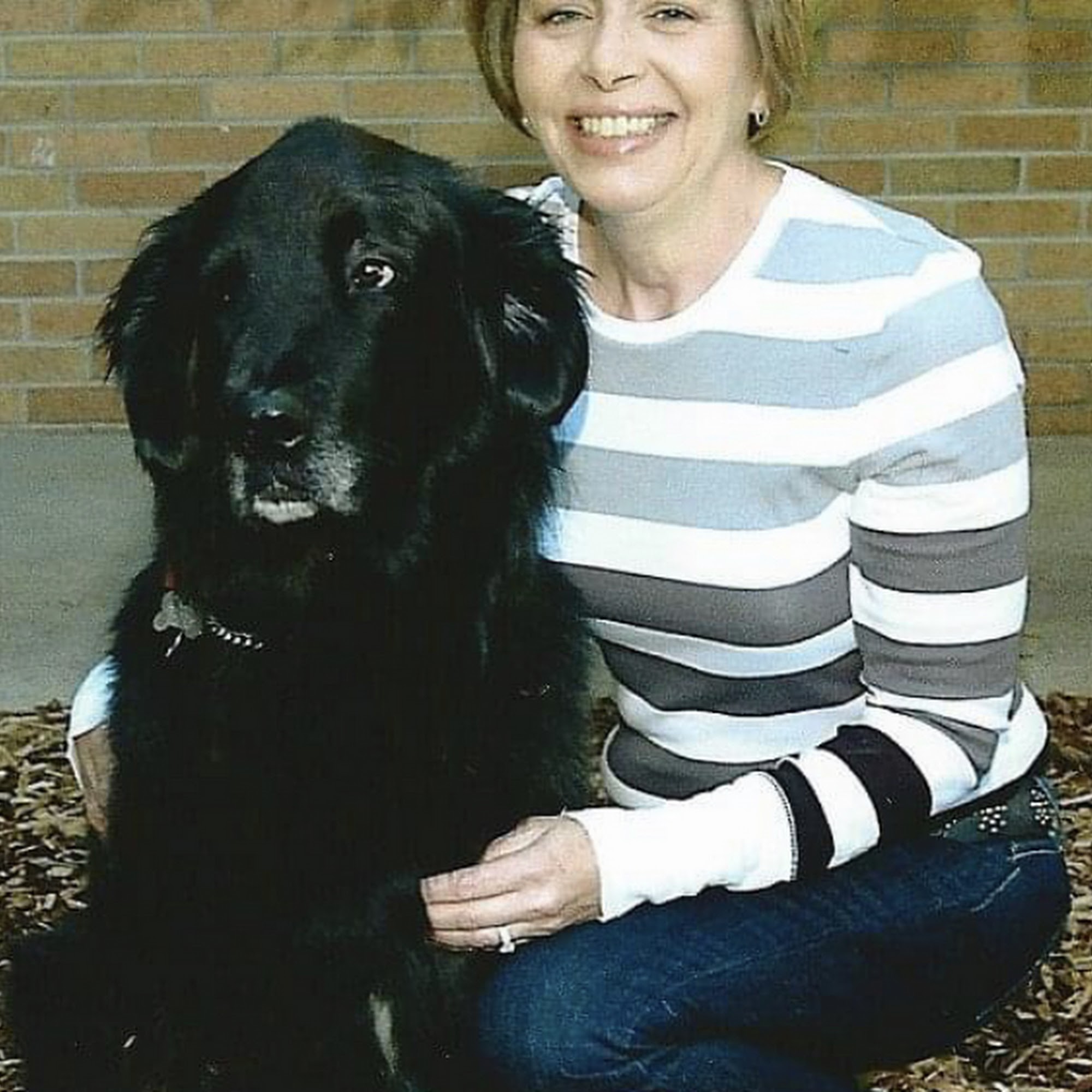 Northern Sky Obedience Academy Charlevoix