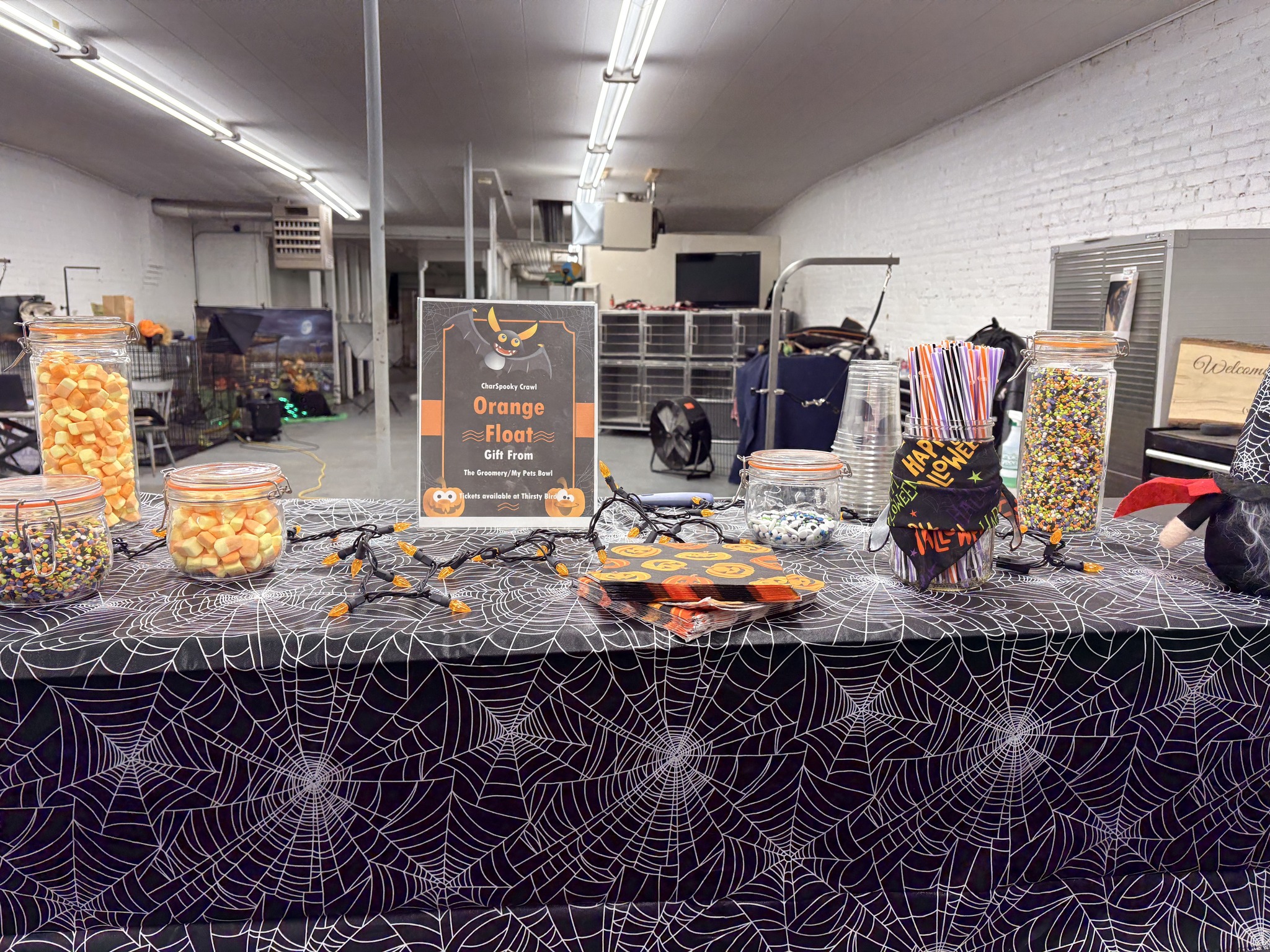 The Groomery Charlotte