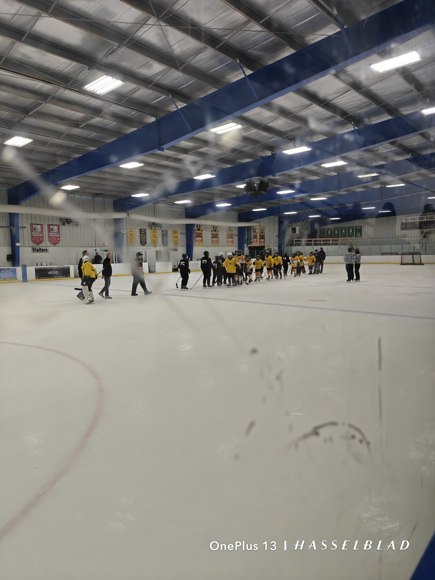 ARCTIC COLISEUM INC - Chelsea MI - Hours, Directions, Reviews - Loc8NearMe