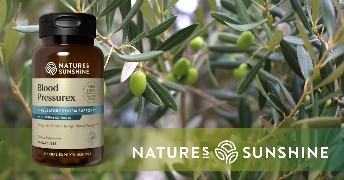 True Touch Therapeutic