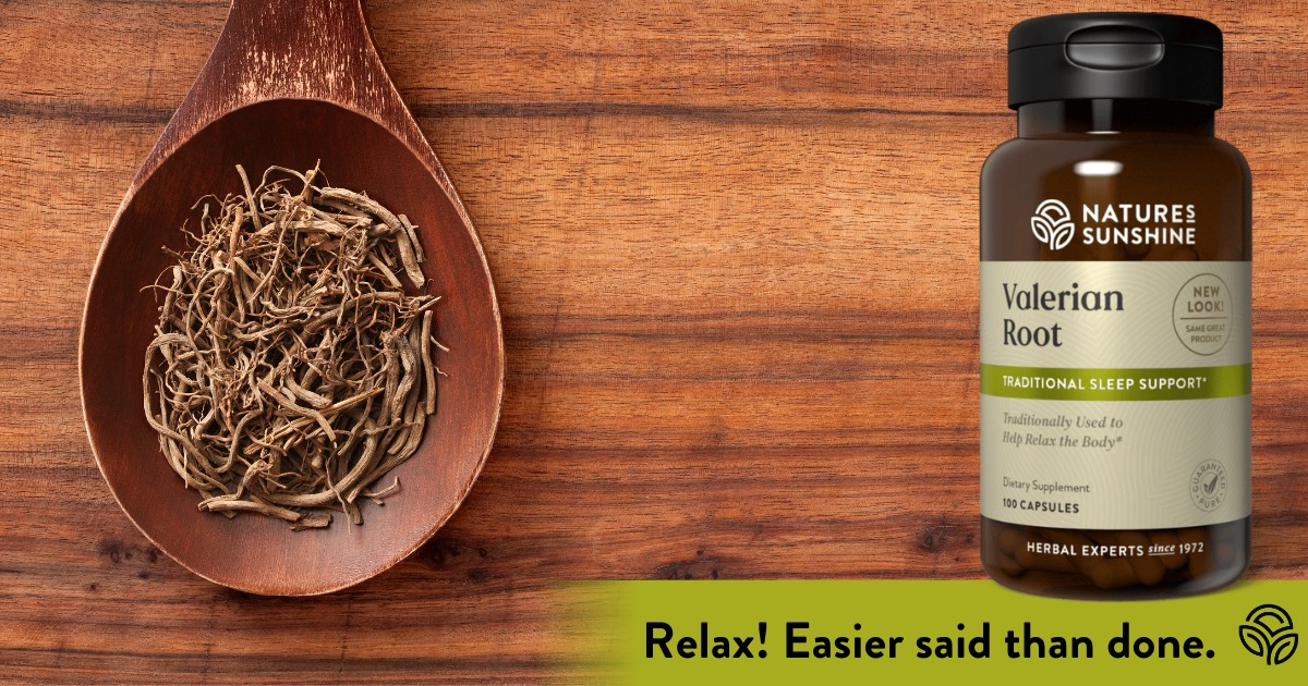 True Touch Therapeutic