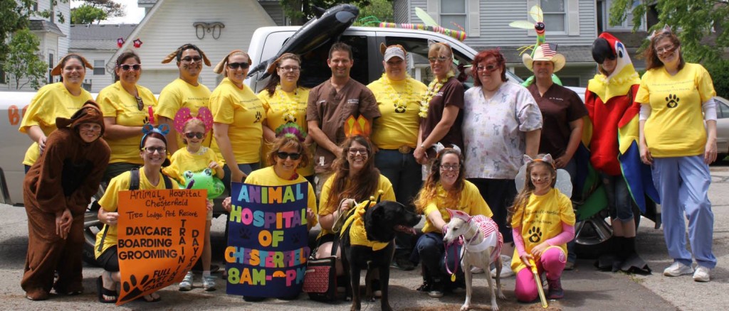 Tree Lodge Pet Resort Chesterfield