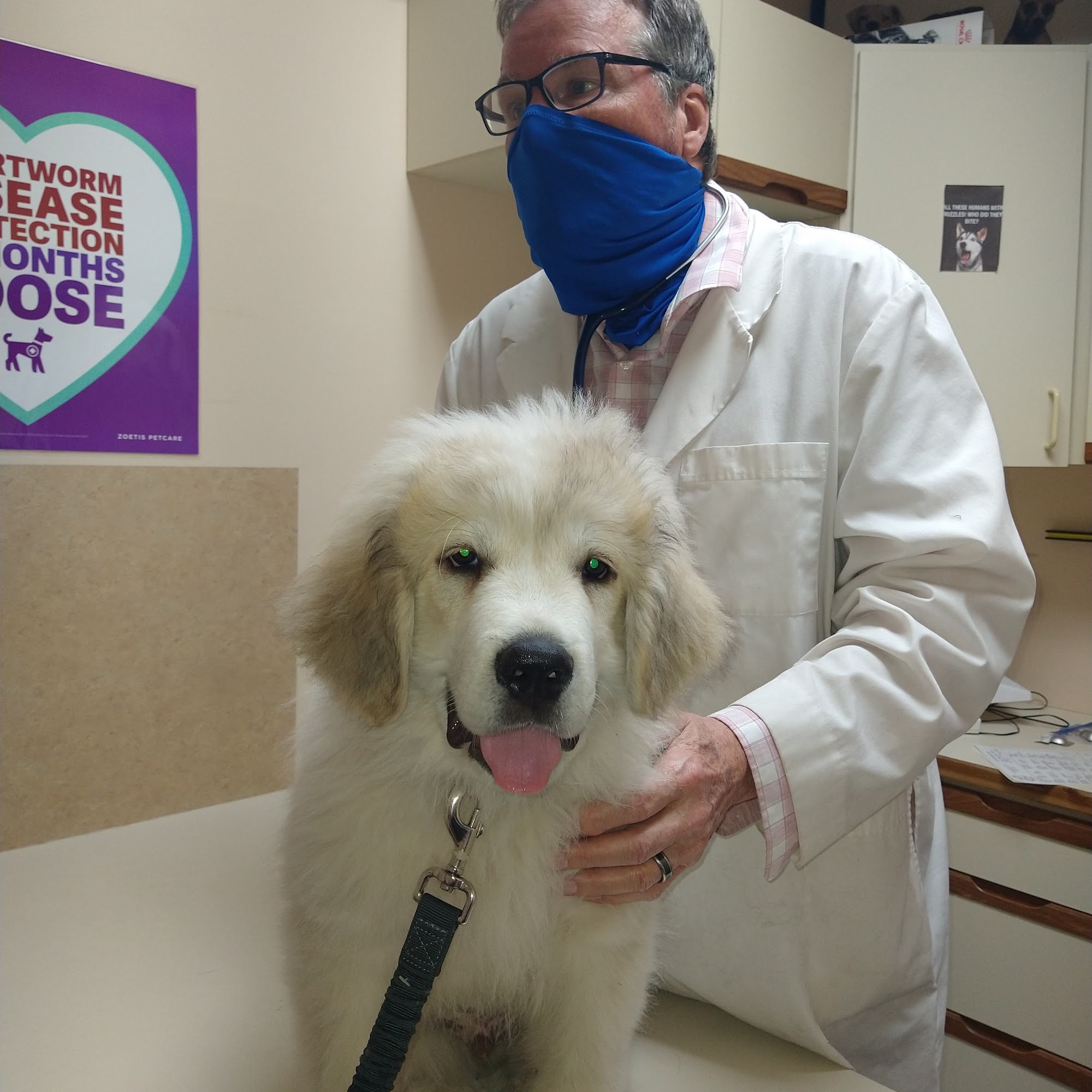 Brooks Animal Clinic China