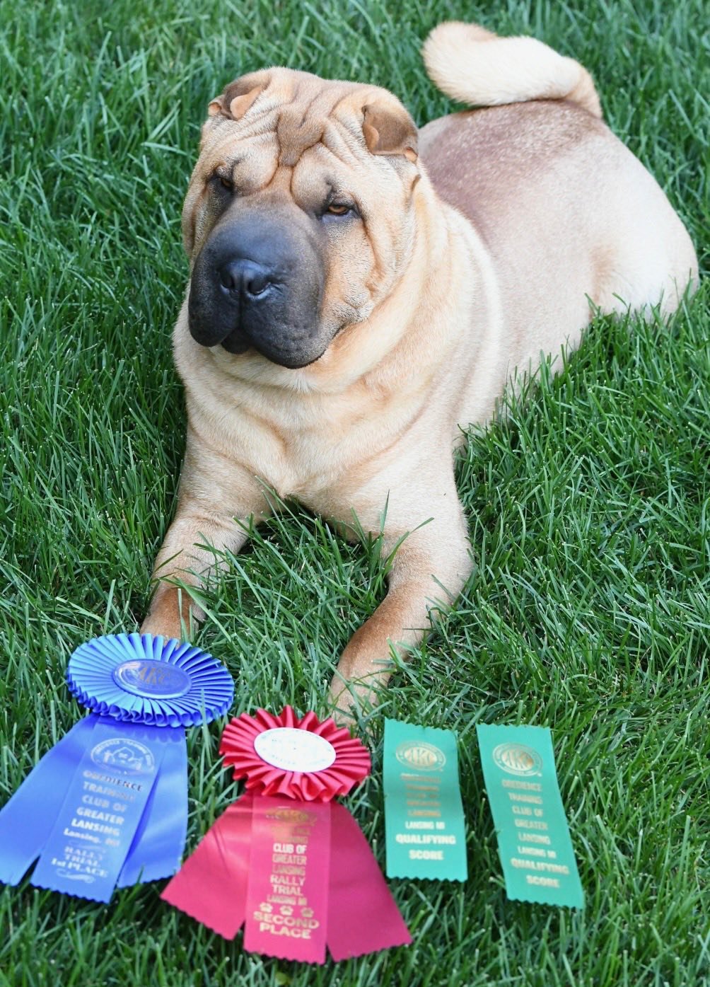 Blackwitch Farms China