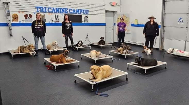Tri Canine Campus Clarkston