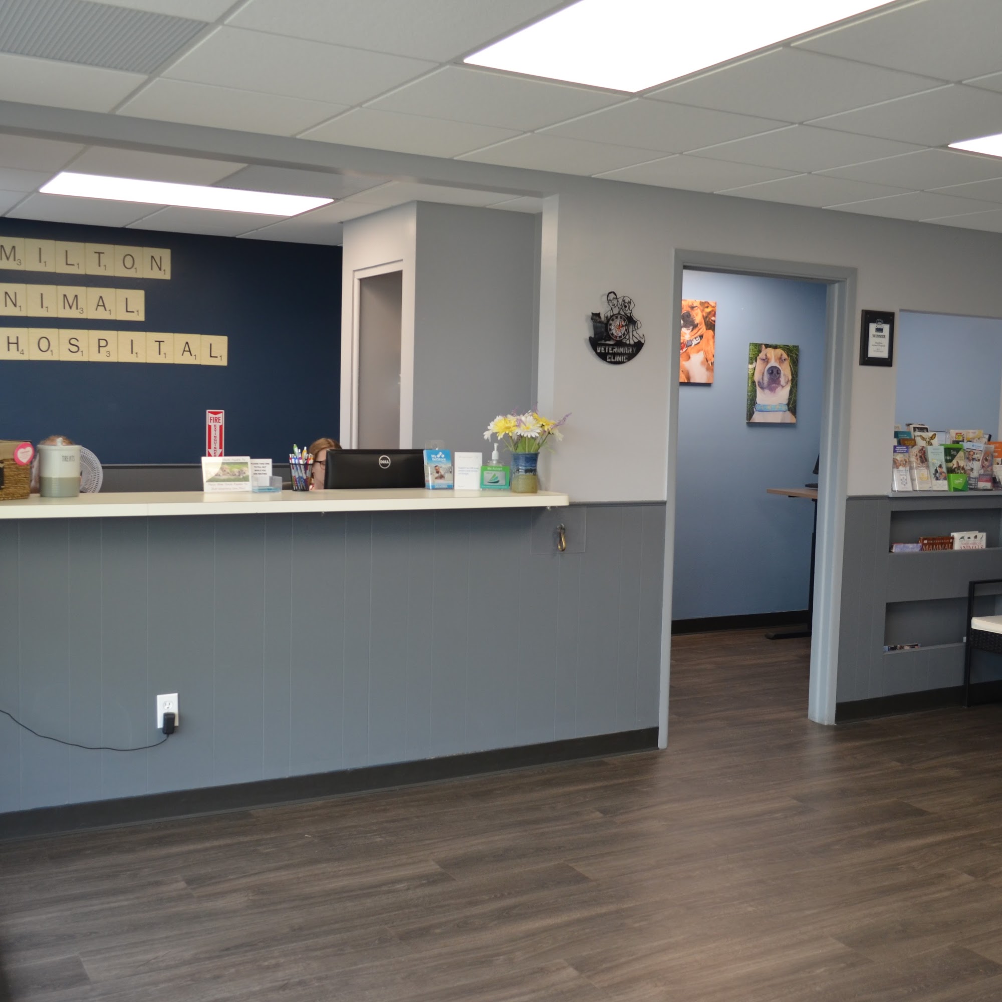 Hamilton Animal Hospital Clawson