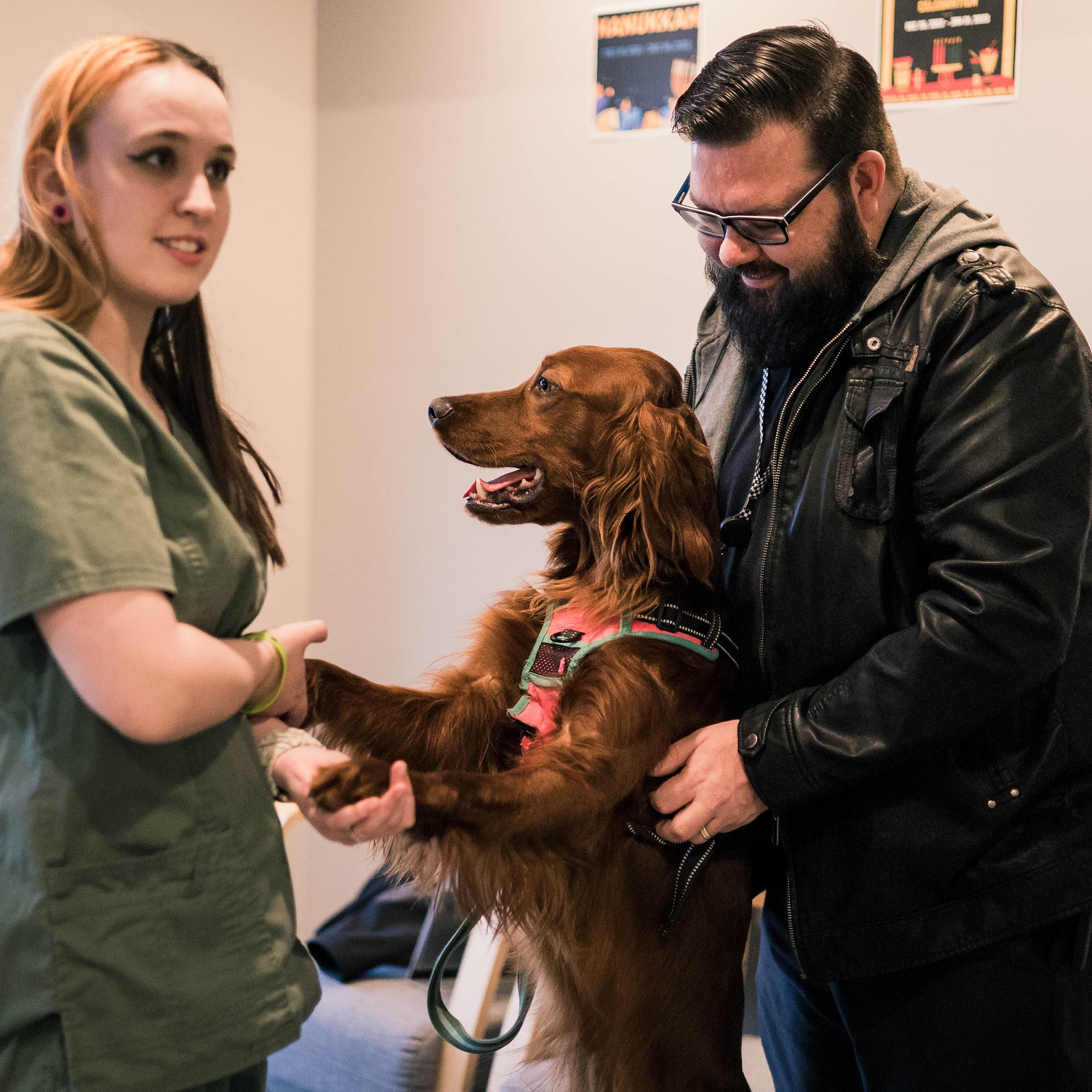 Affordable Veterinary Care Center Clinton