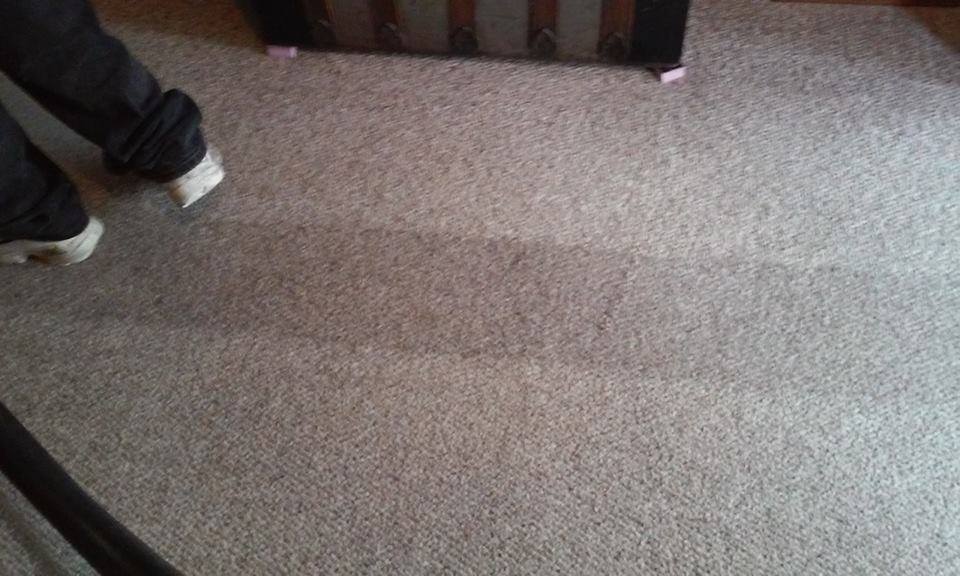 Stain-Busters Carpet