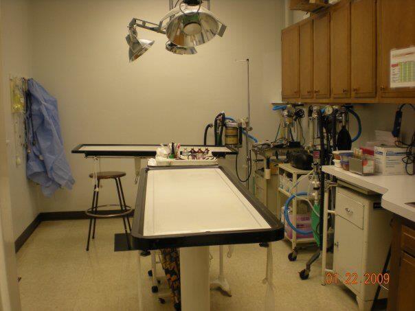 Fohey Veterinary Hospital Clio