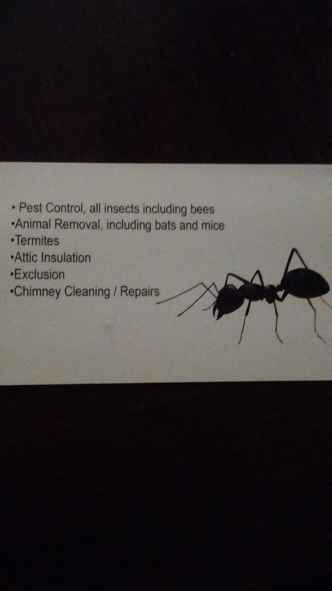 Dean's Pest Solutions