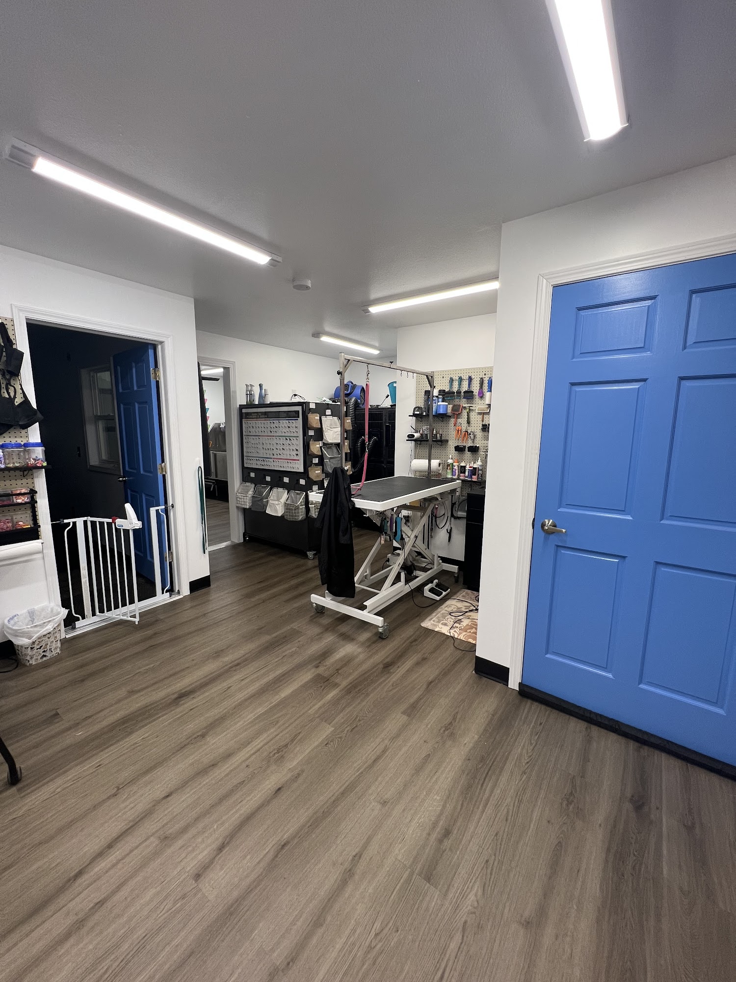 Heads Or Tails Salon Coloma