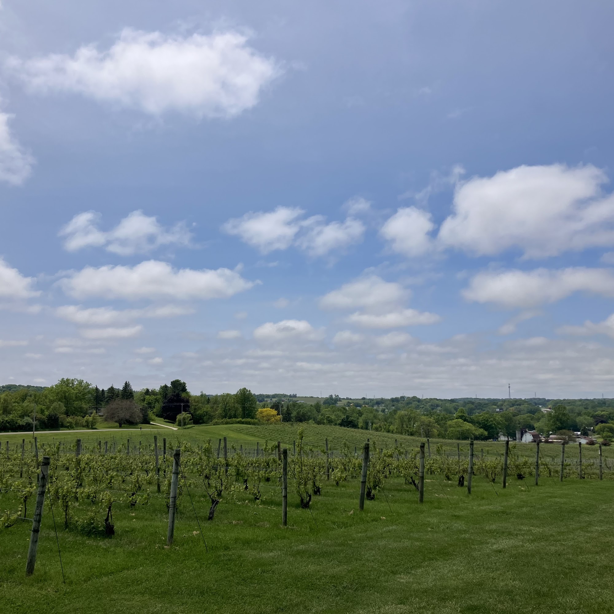 Filkins Vineyards Coloma