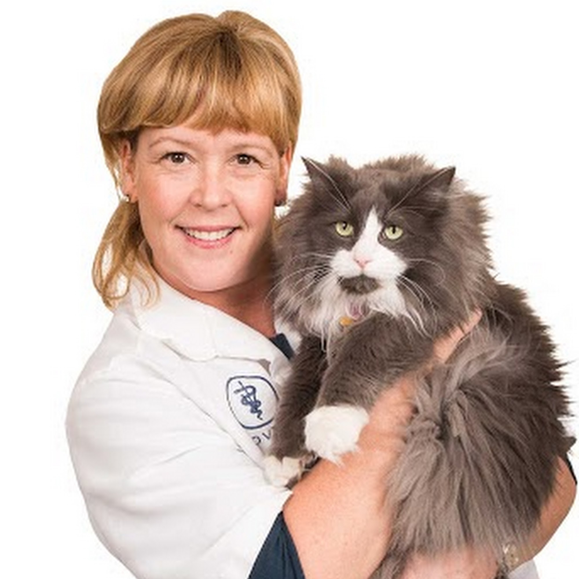 Commerce Village Veterinary Hospital Commerce